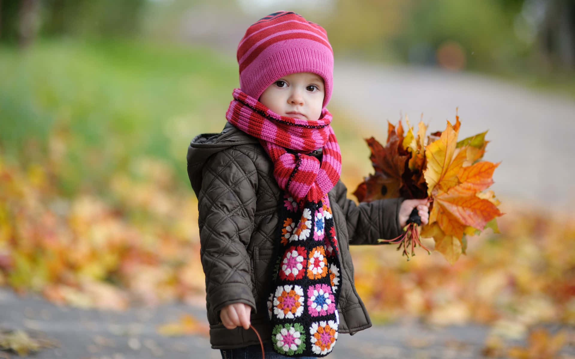 Fall In Love With The Breathtaking Beauty Of Autumn Background