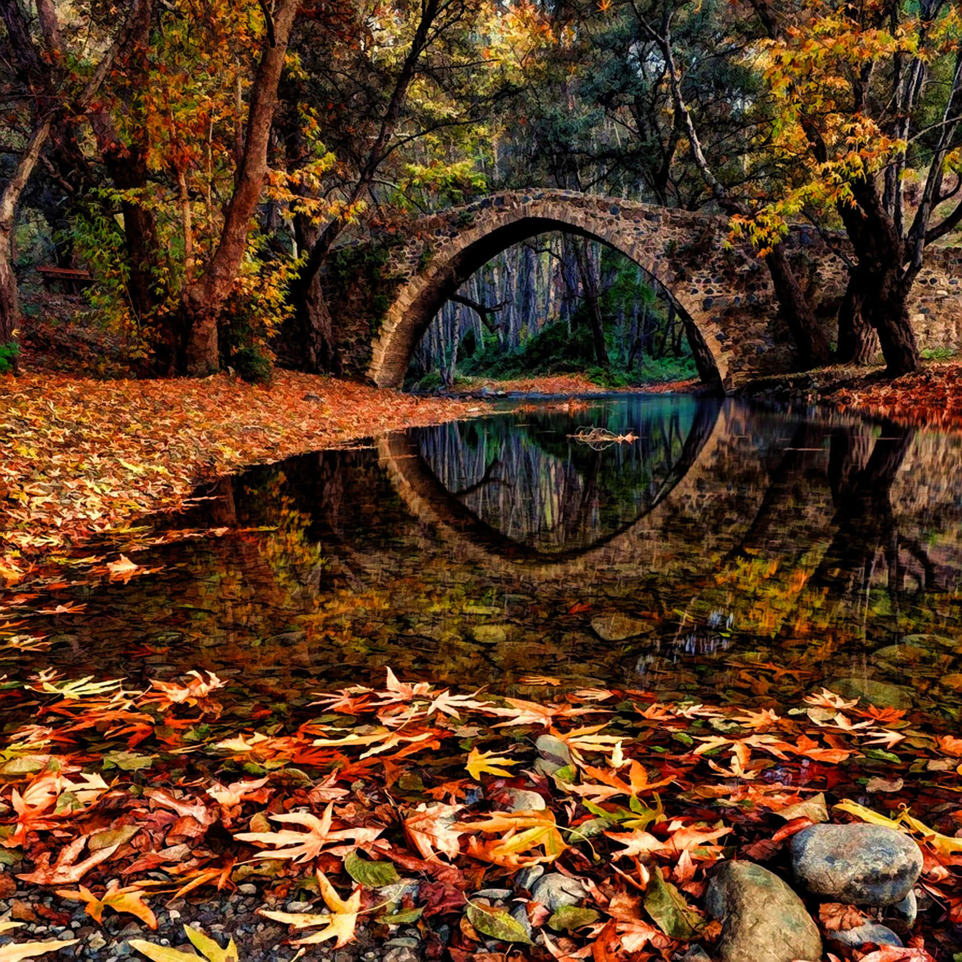 Fall Ipad Forest Bridge And River Background