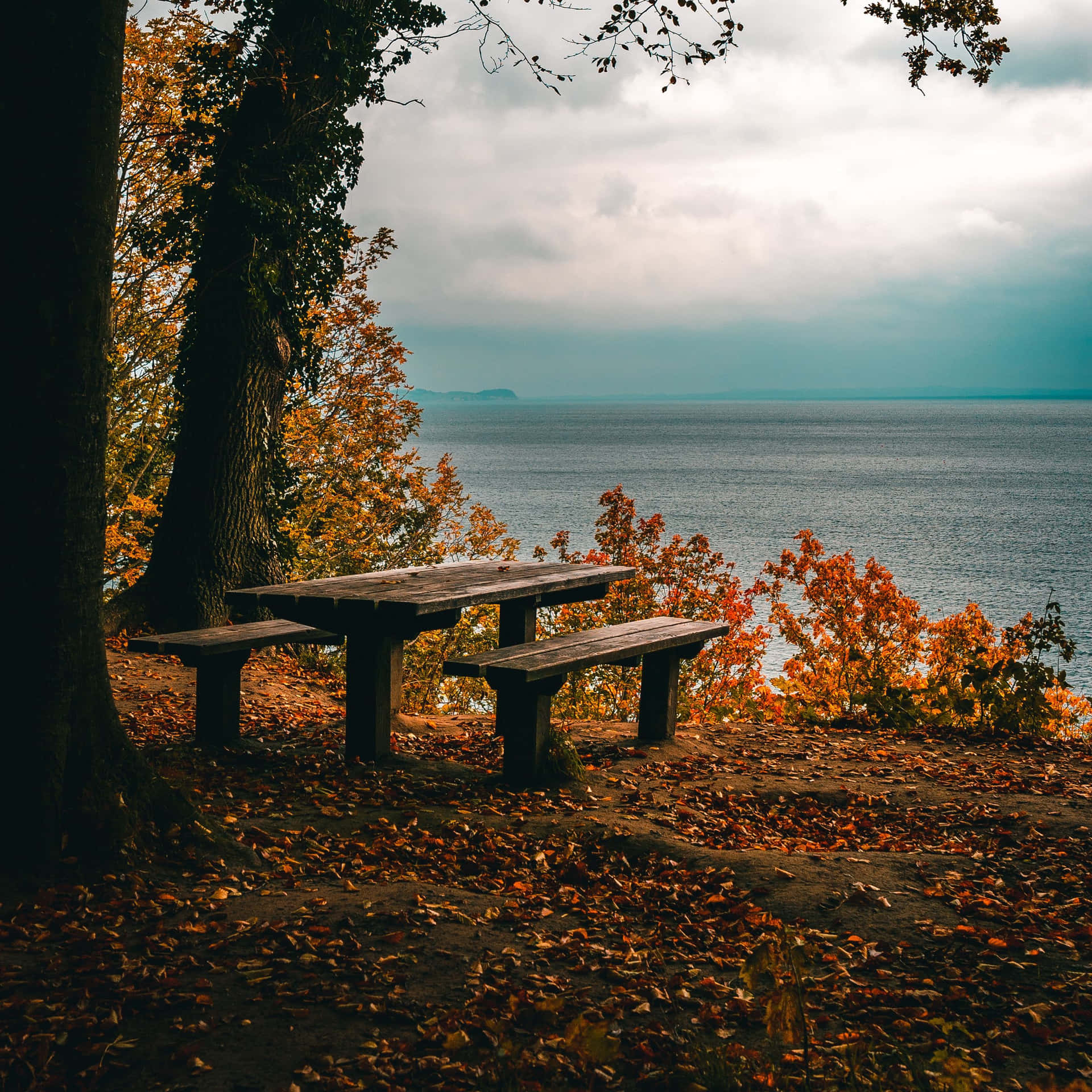 Fall Ipad Picnic Table Forest Background