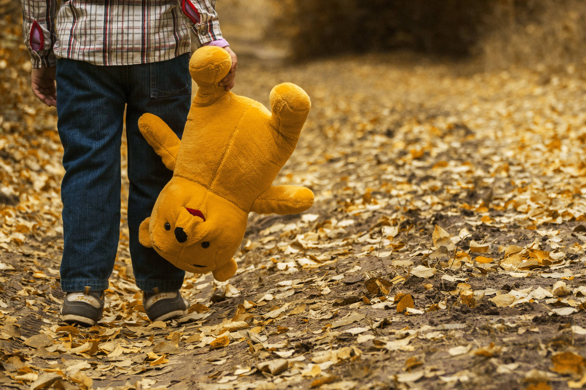 Fall Leaves Boy With Teddy Background