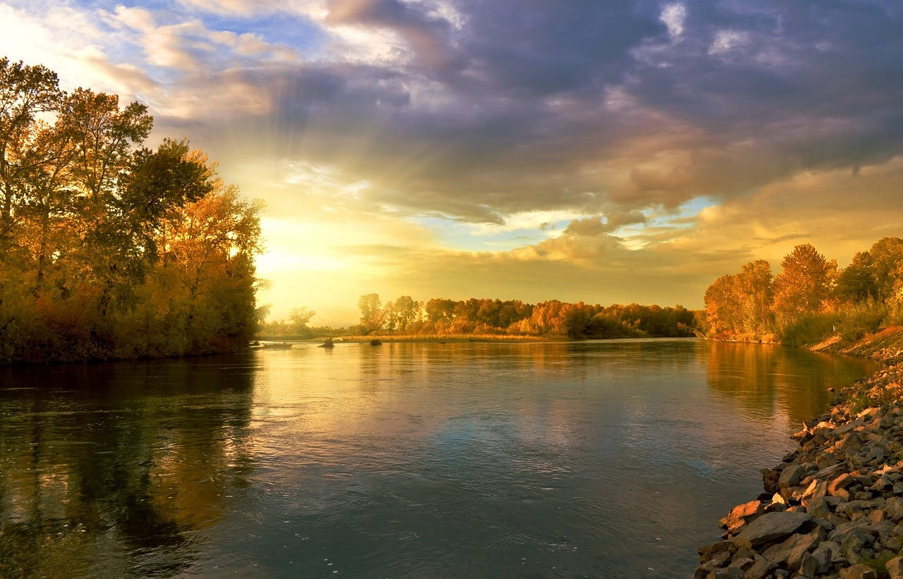 Fall Leaves Calm River