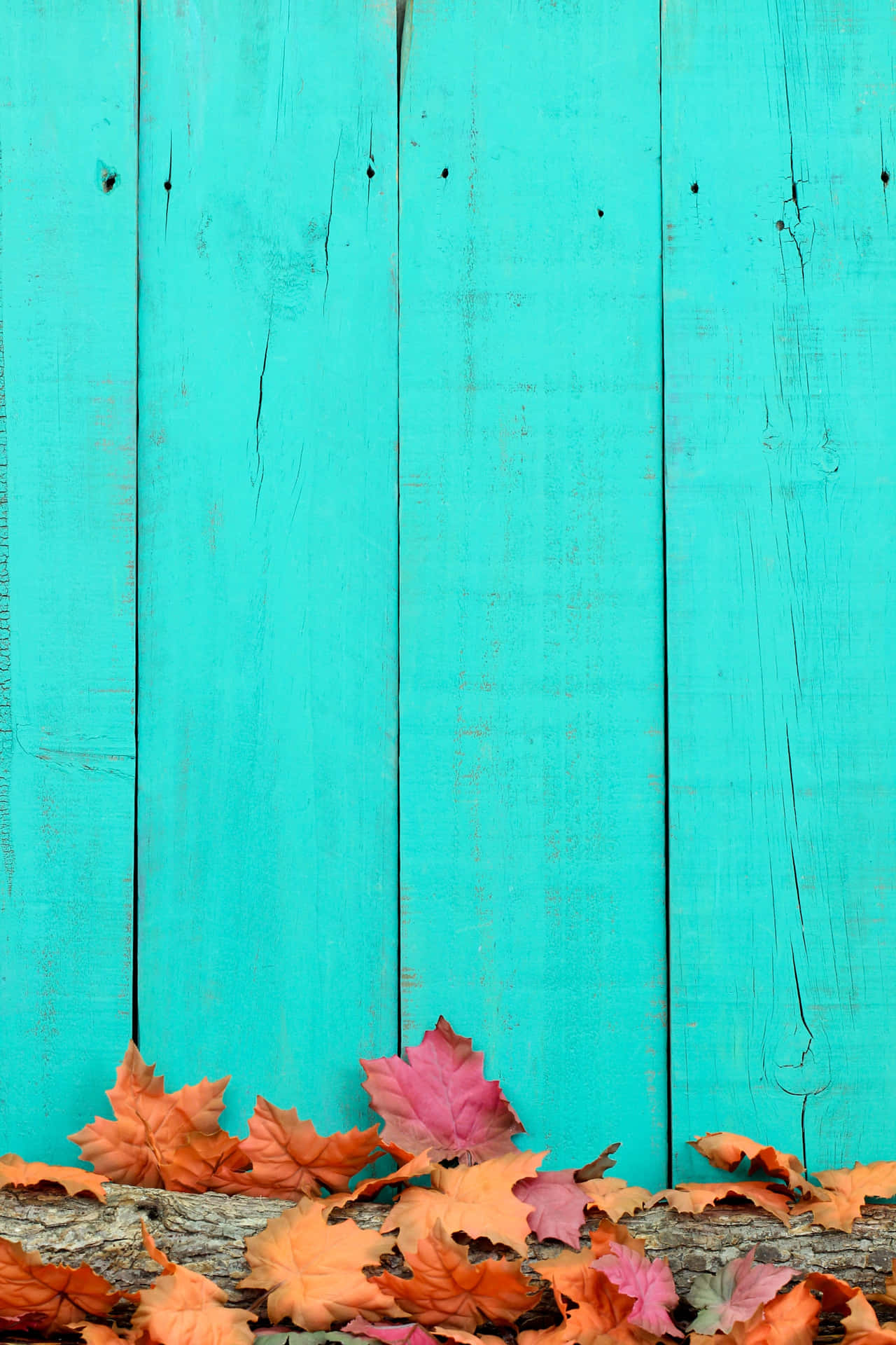 Fall Leaves Iphone With Wooden Fences