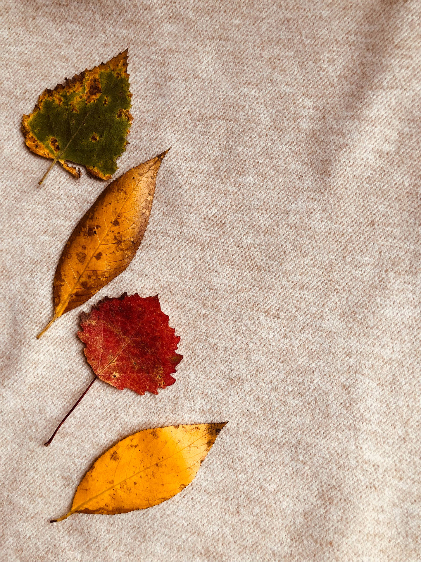 Fall Leaves Shapes On Beige Textile