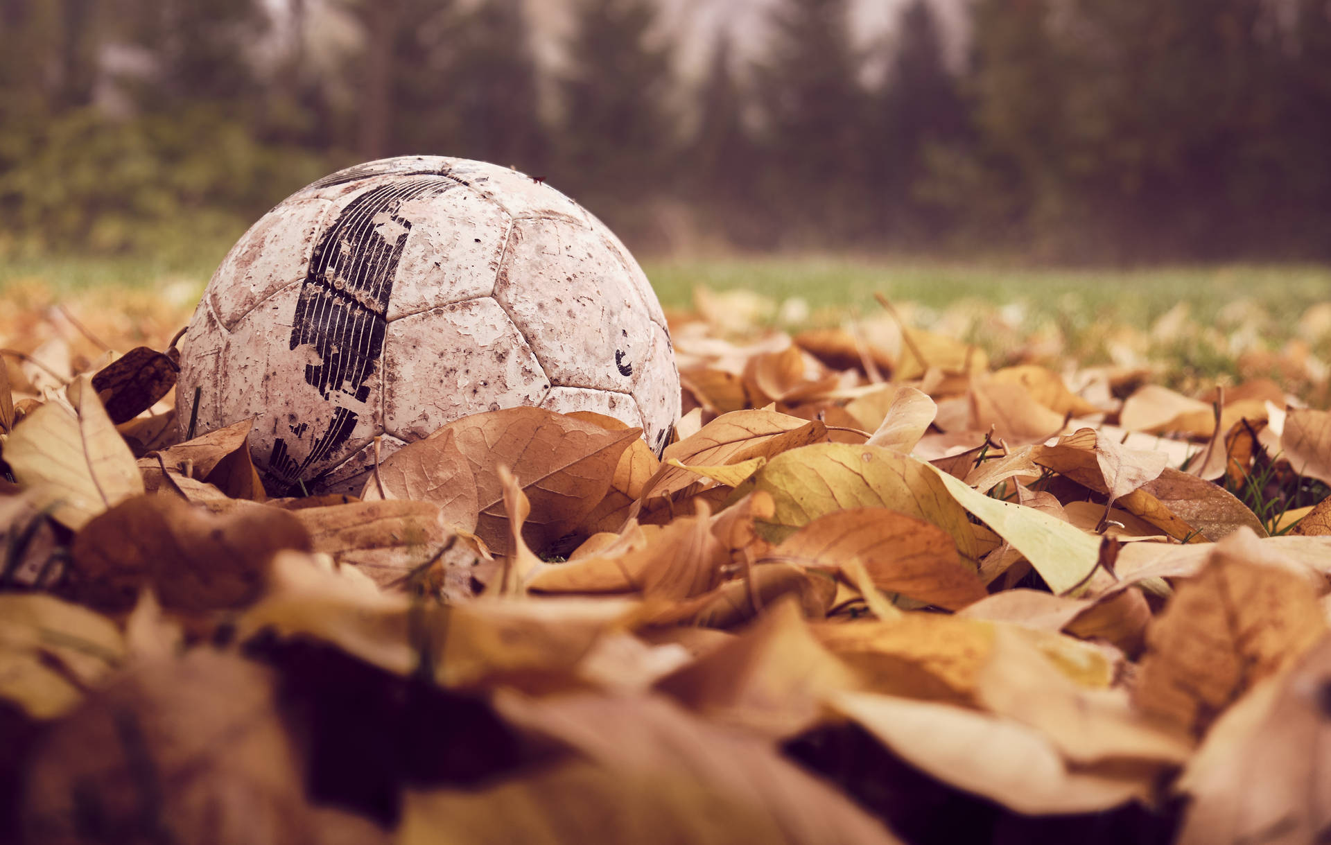 Fall Leaves Soccer Ball Background