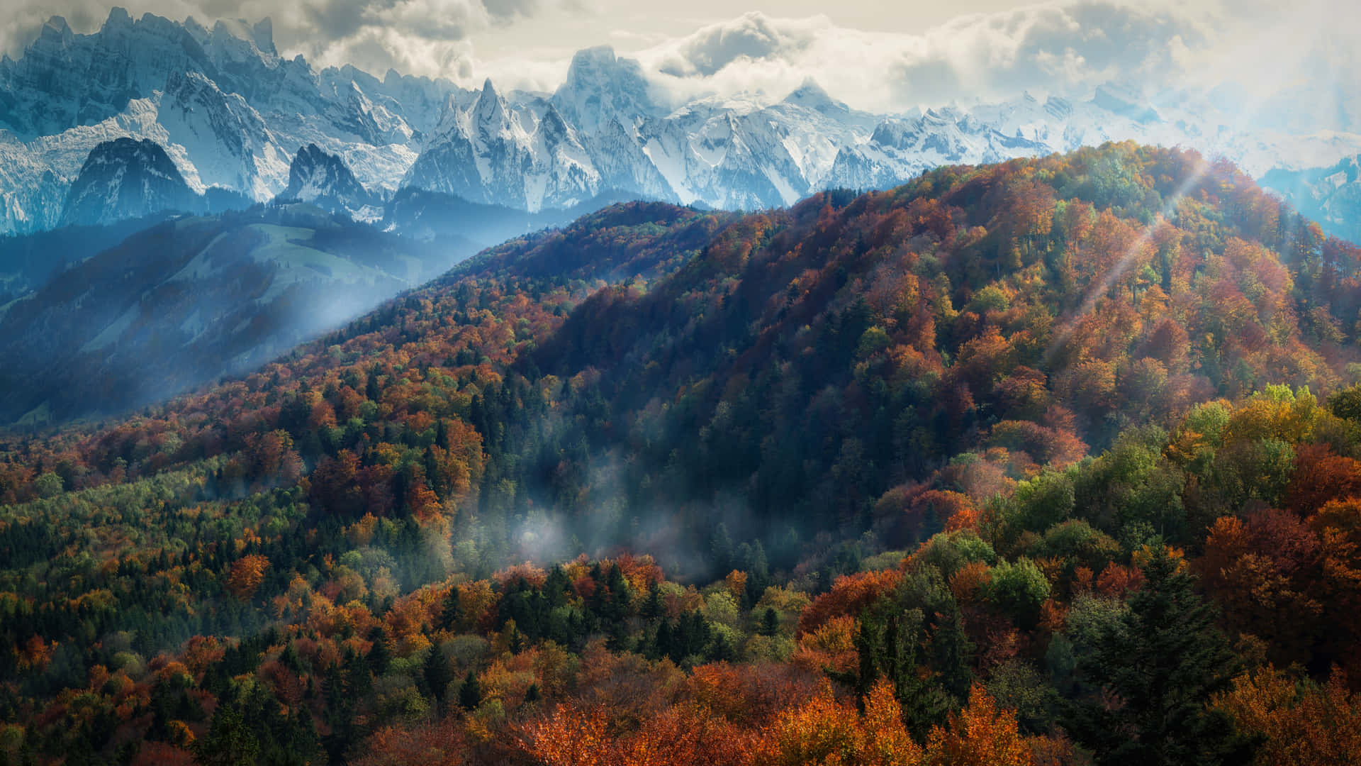 Fall Mountain During Daytime Background