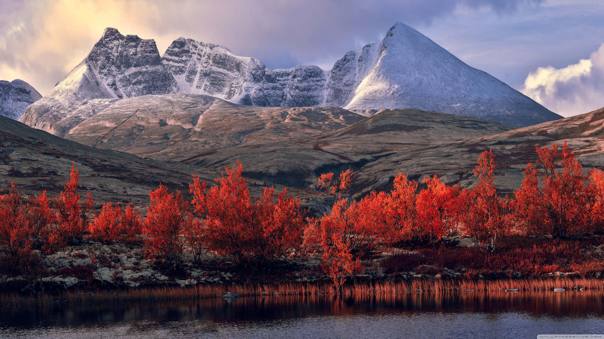 Fall Mountains With Flowers Background