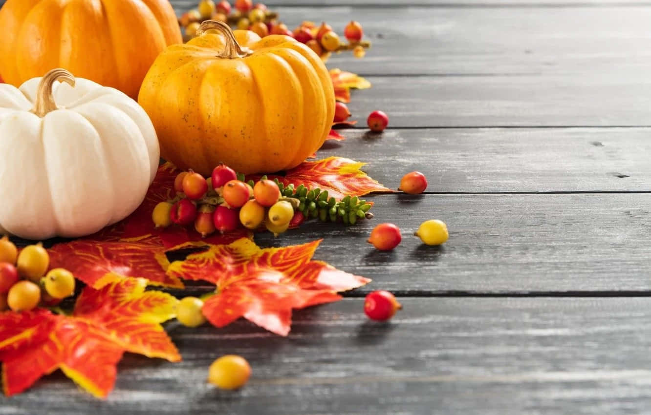 Fall Orange And White Pumpkin Background