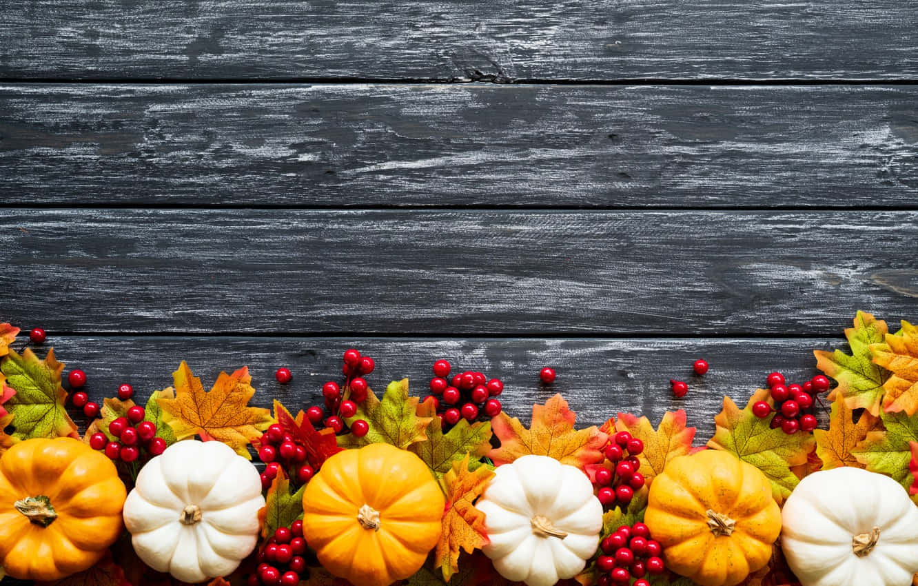 Fall Pumpkin Harvest Background