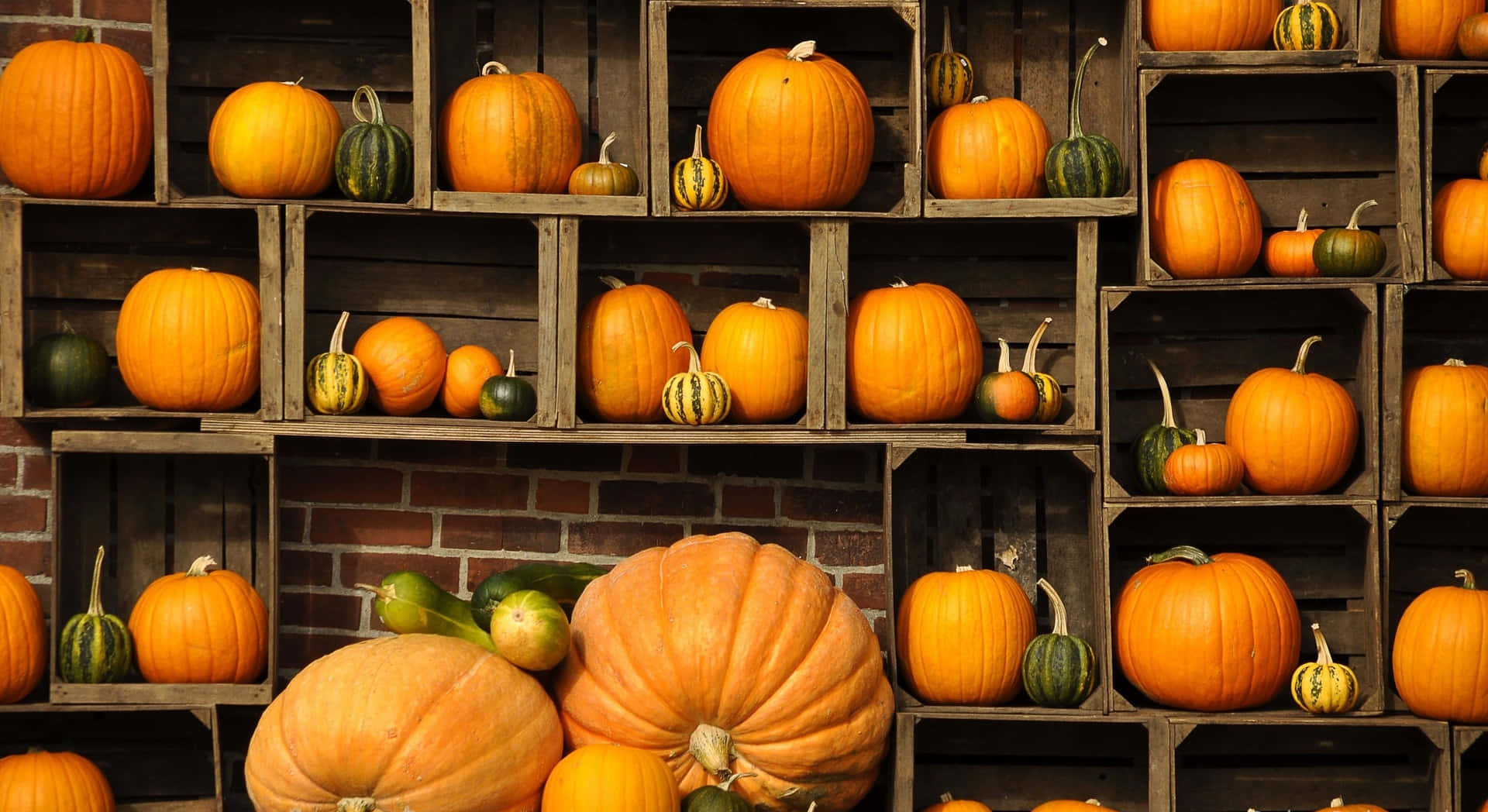 Fall Pumpkin Vegetables Storage Background