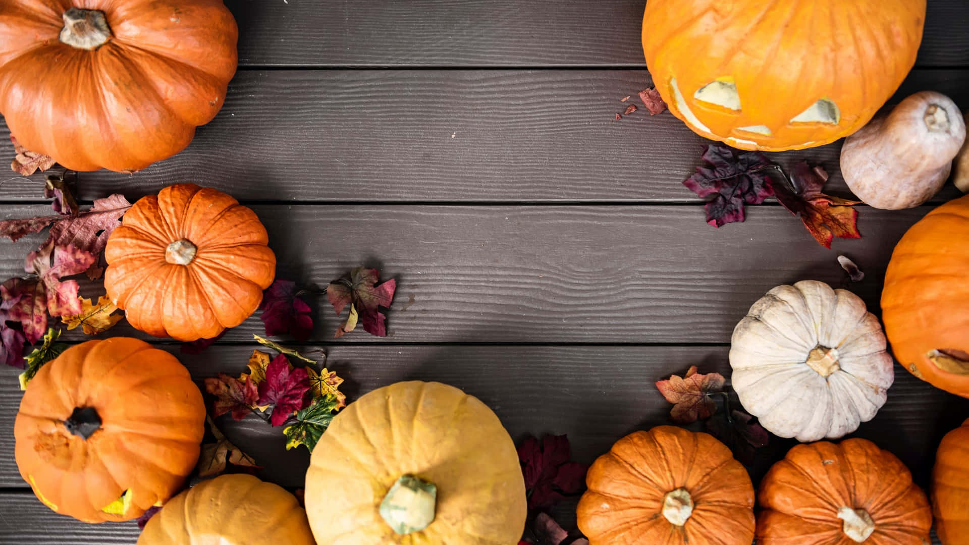 Fall Pumpkins Aesthetic Desktop Background