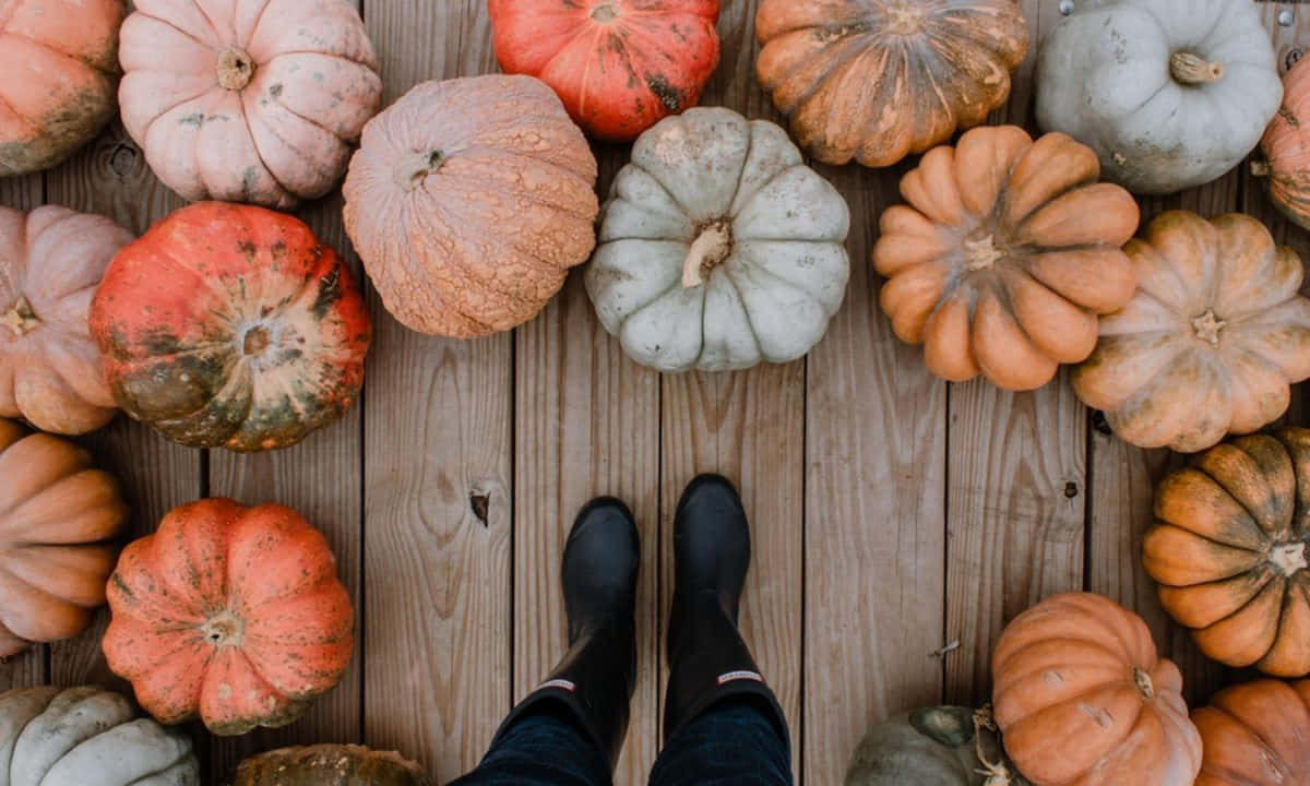 Fall Pumpkins Display Background