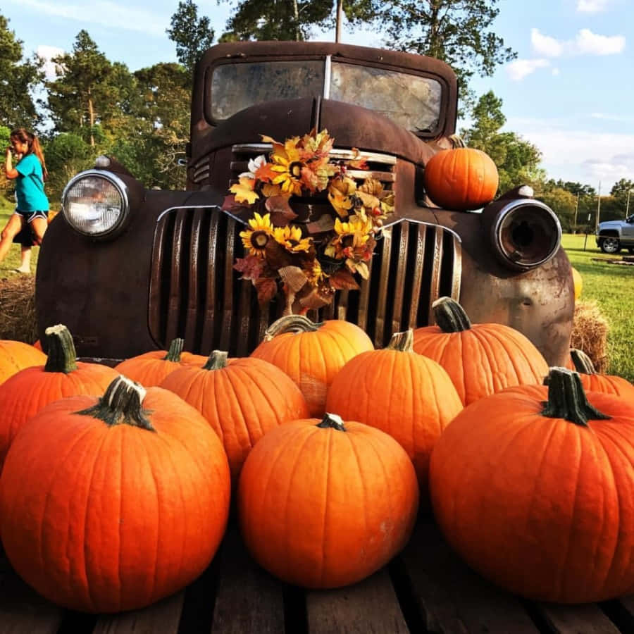 Fall Pumpkins Galore! Background