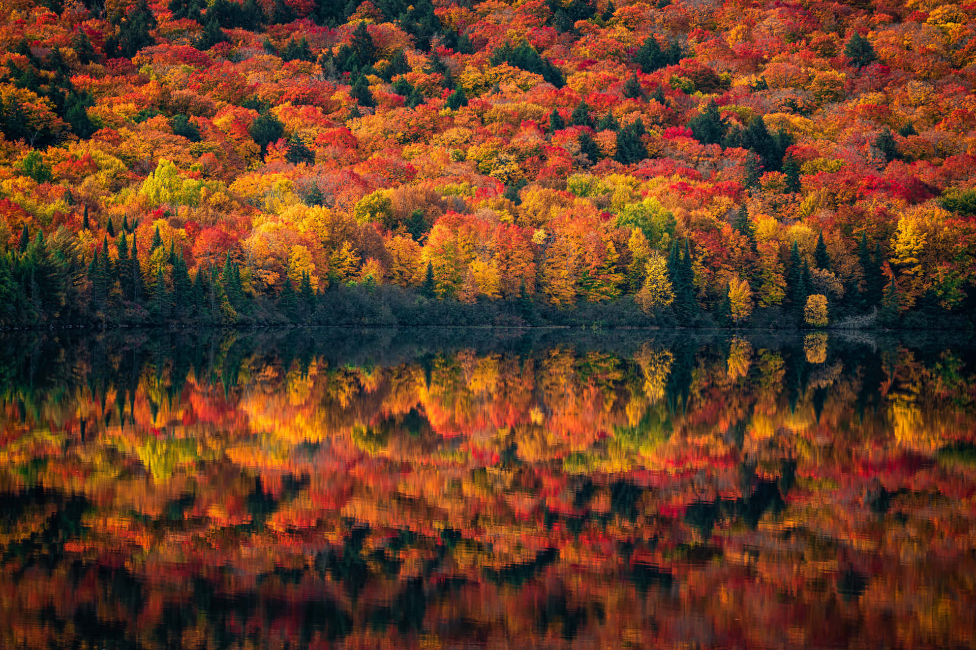 Fall Scenes Lake Reflecting Autumn Trees Background