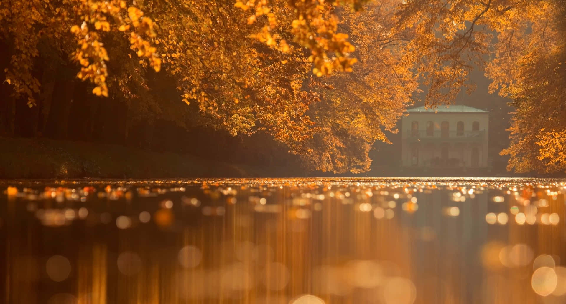 Fall Scenes Lake Reflecting Trees Background
