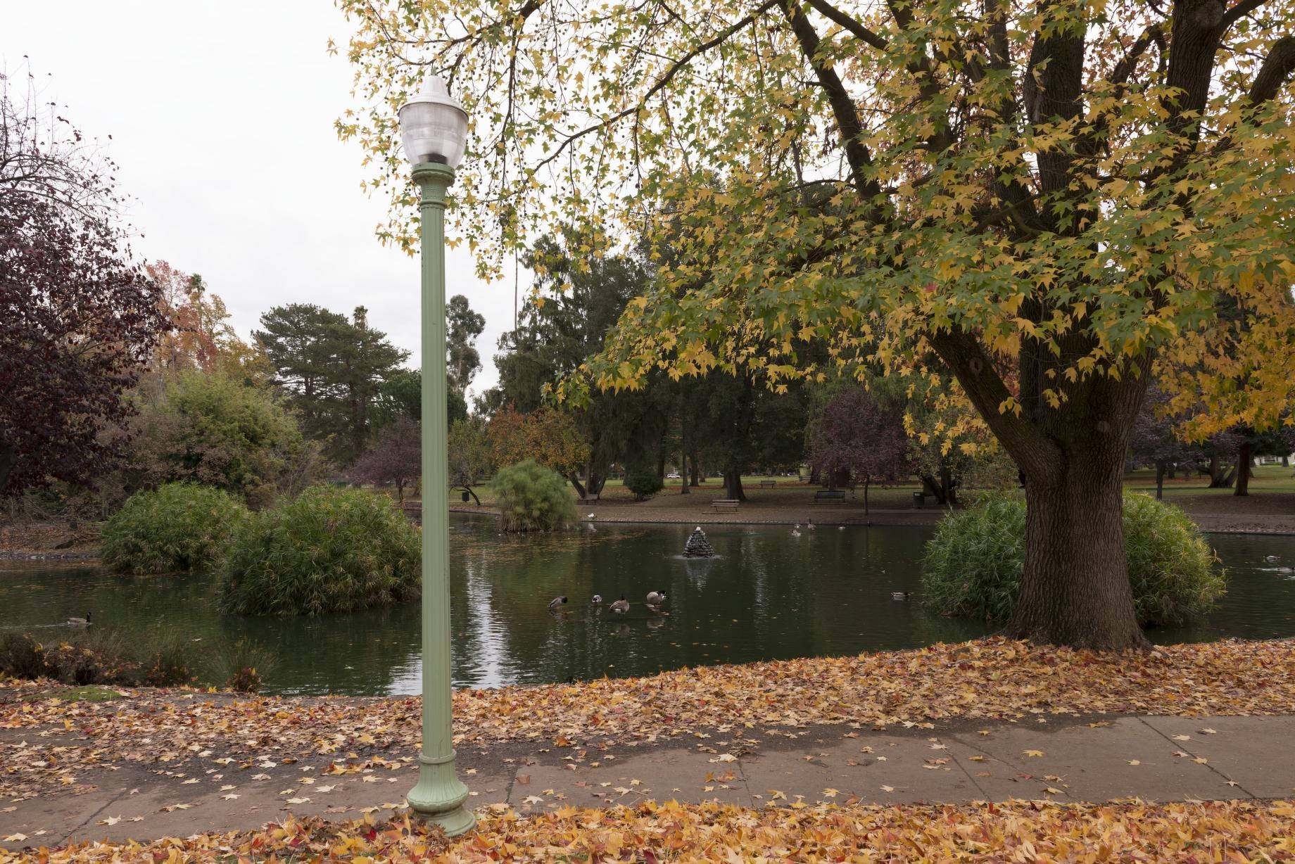 Fall Season At Sacramento Background