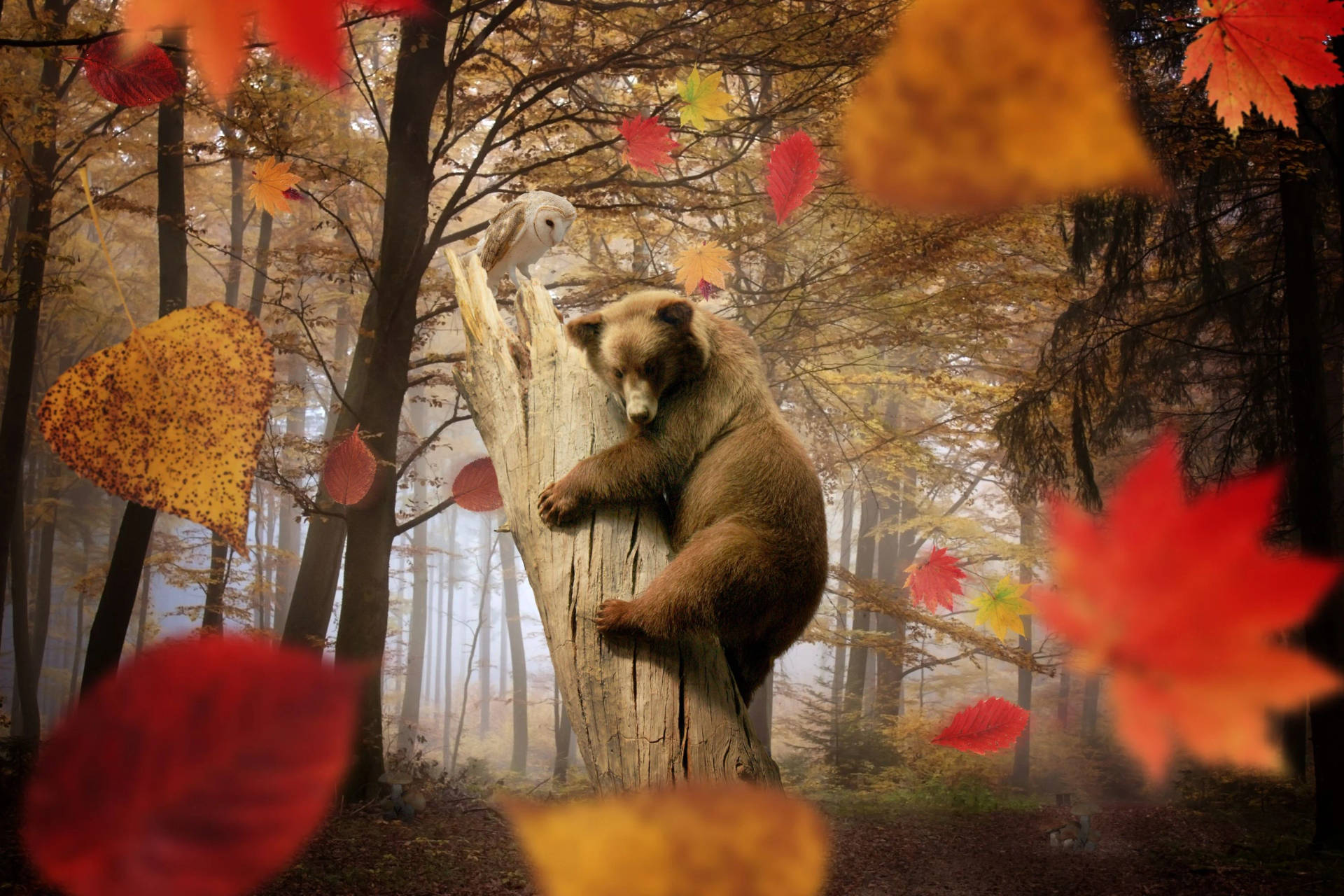 Fall Season Bear In Tree Background