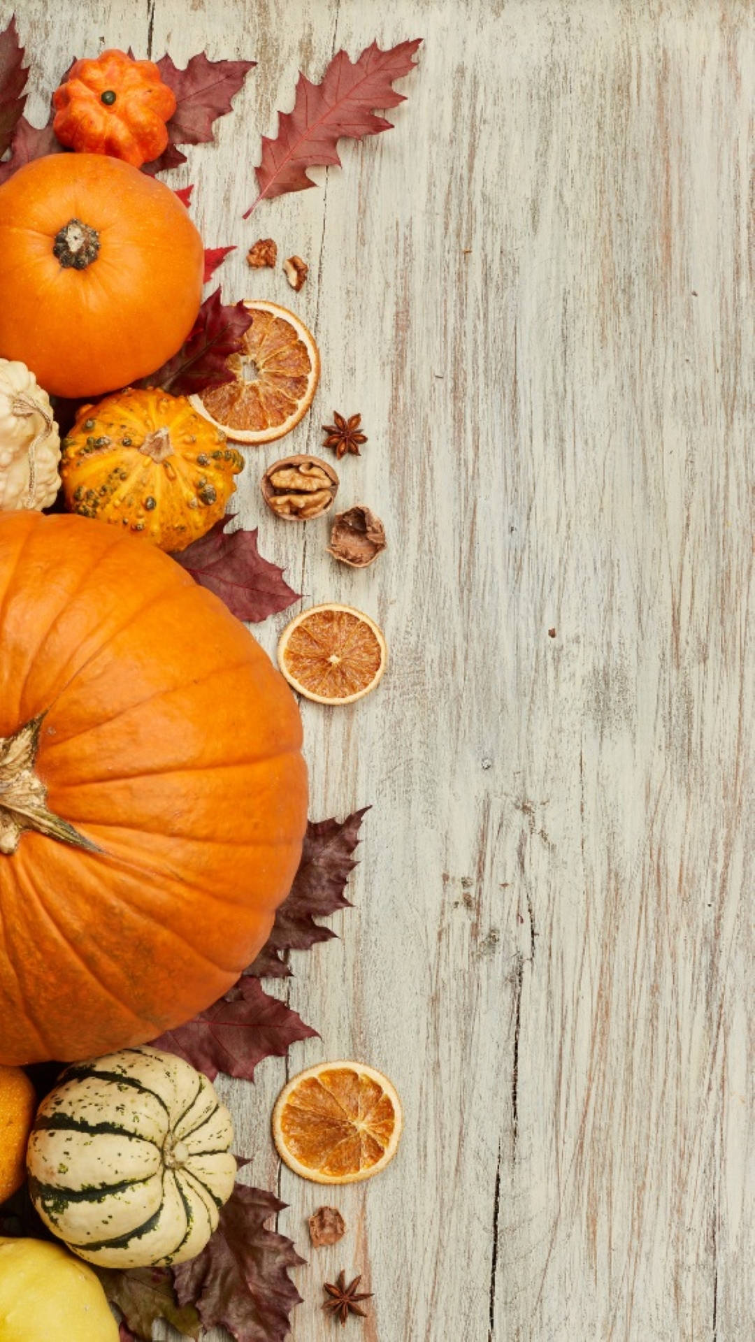 Fall Season Halloween Aesthetic Background