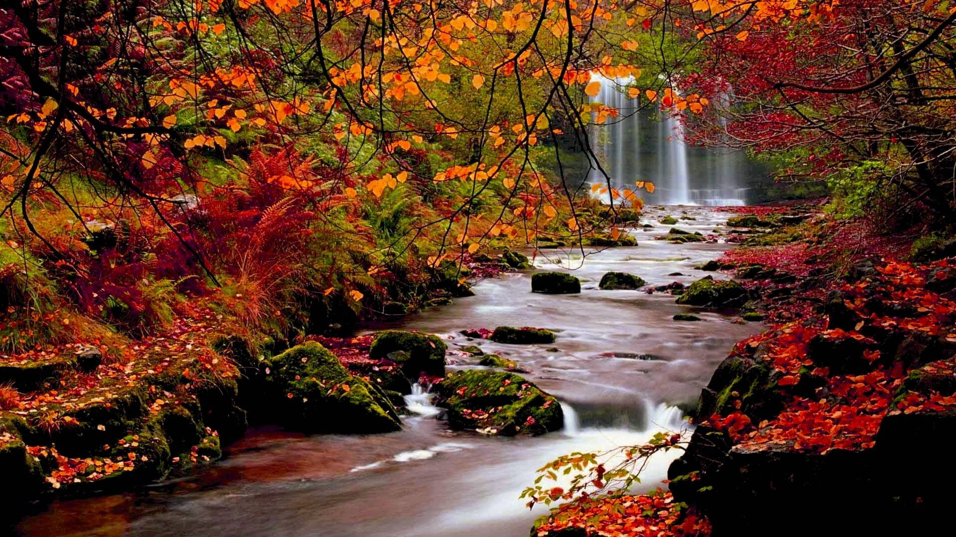 Fall Season River Flows Background