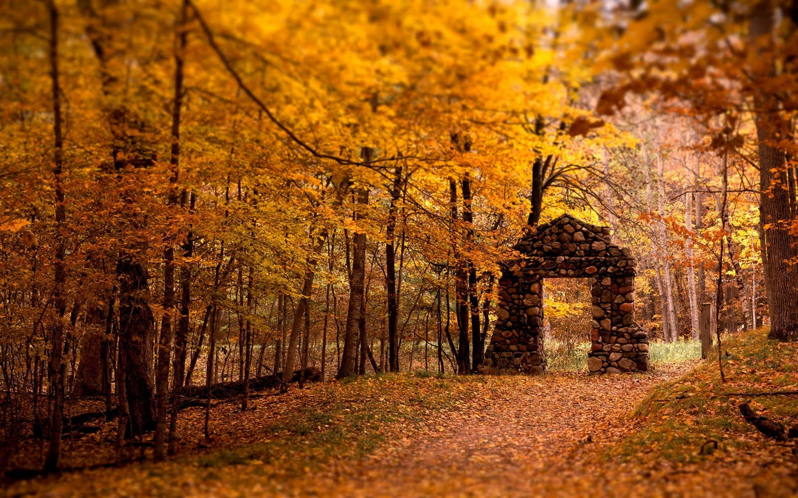 Fall Season Rock Arch Background