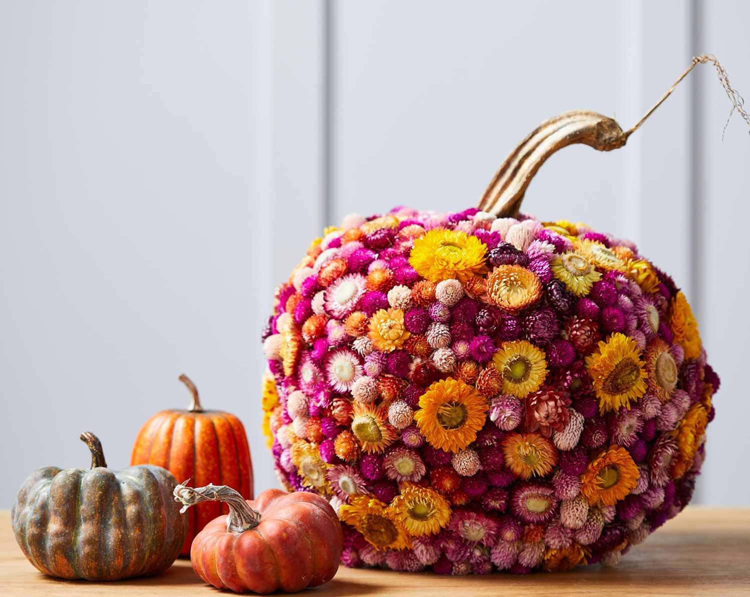 Fall Thanksgiving Flower Pumpkin Background