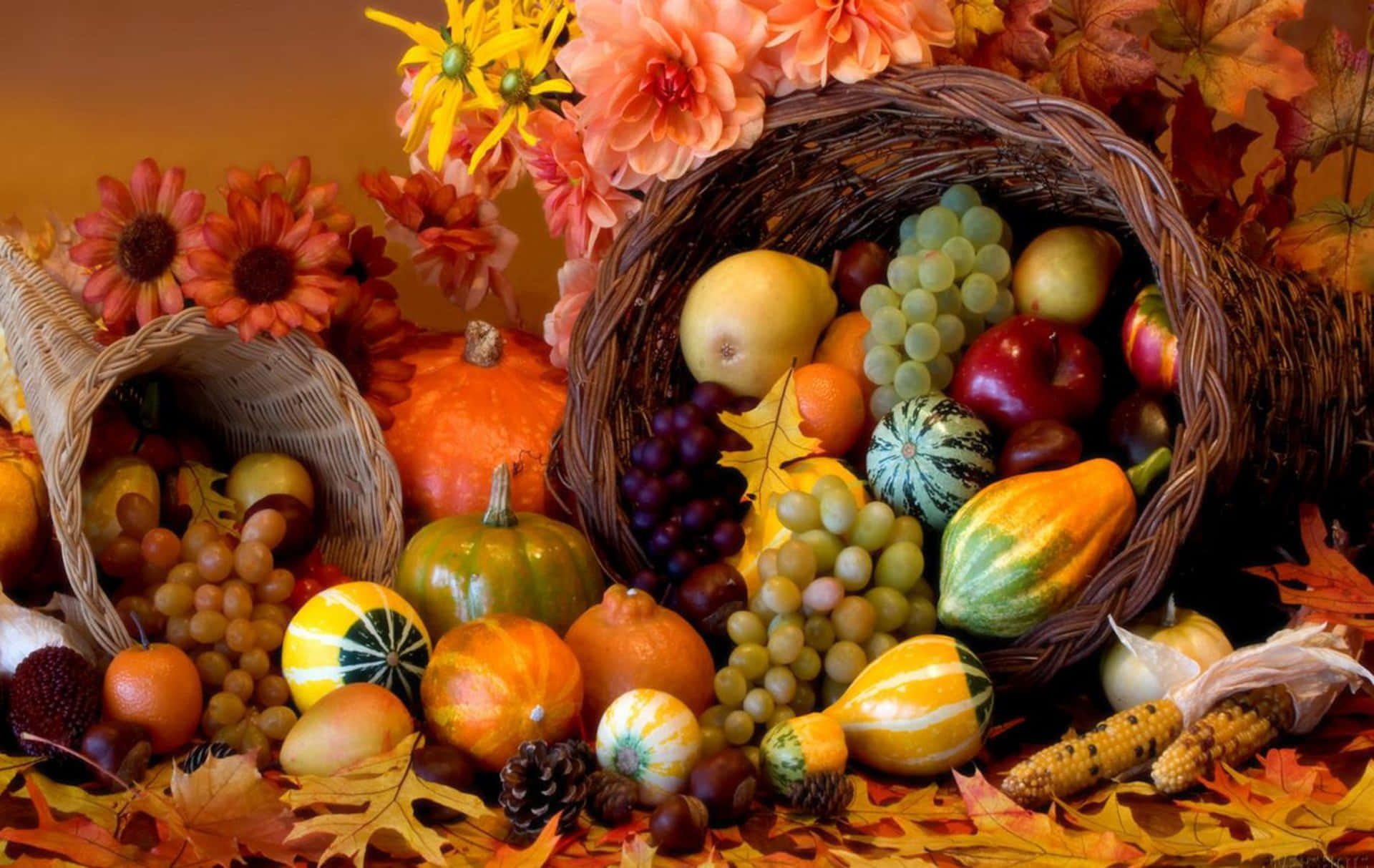 Fall Thanksgiving Fruit Basket Background