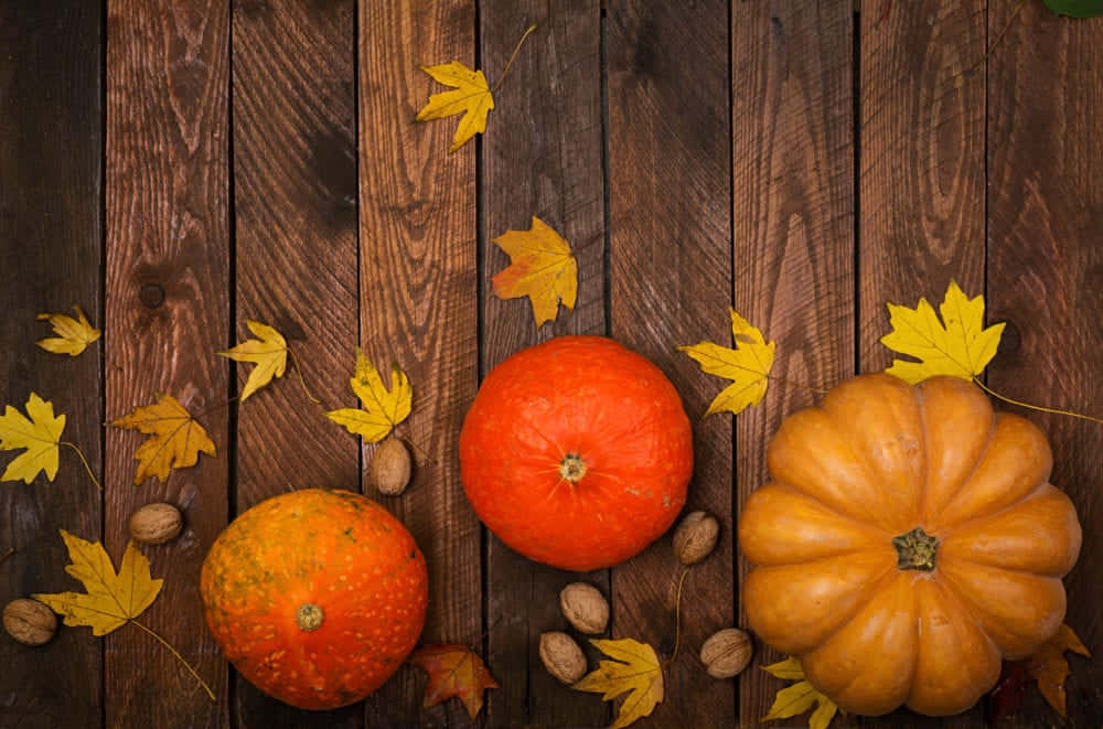 Fall Thanksgiving Three Pumpkins Background