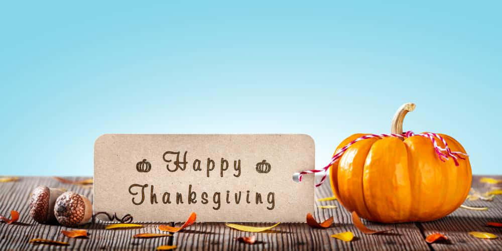 Fall Thanksgiving With Large Pumpkin Background