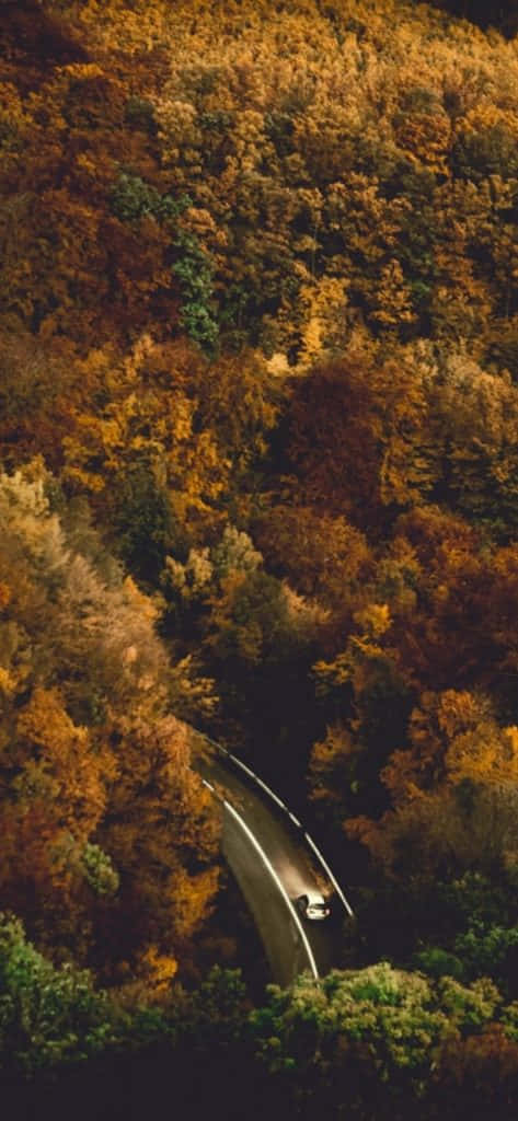 Fall Tumblr Car In Road Background