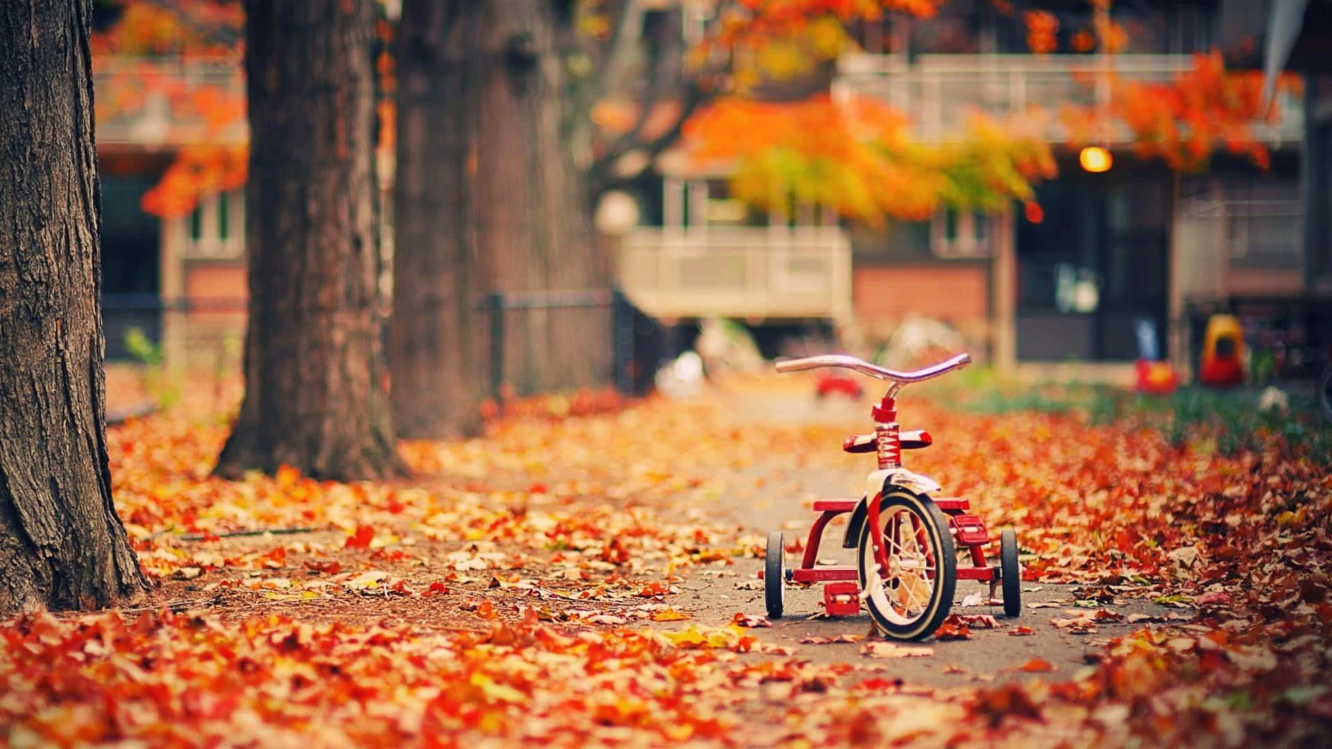 Fall Tumblr Kids Bike Beside Trees Background