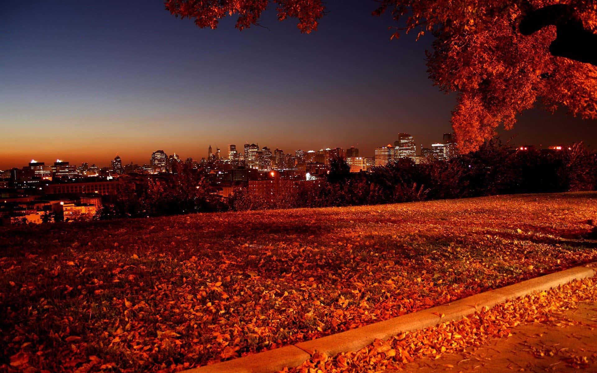 Fall Tumblr Park With Scattered Leaves Background