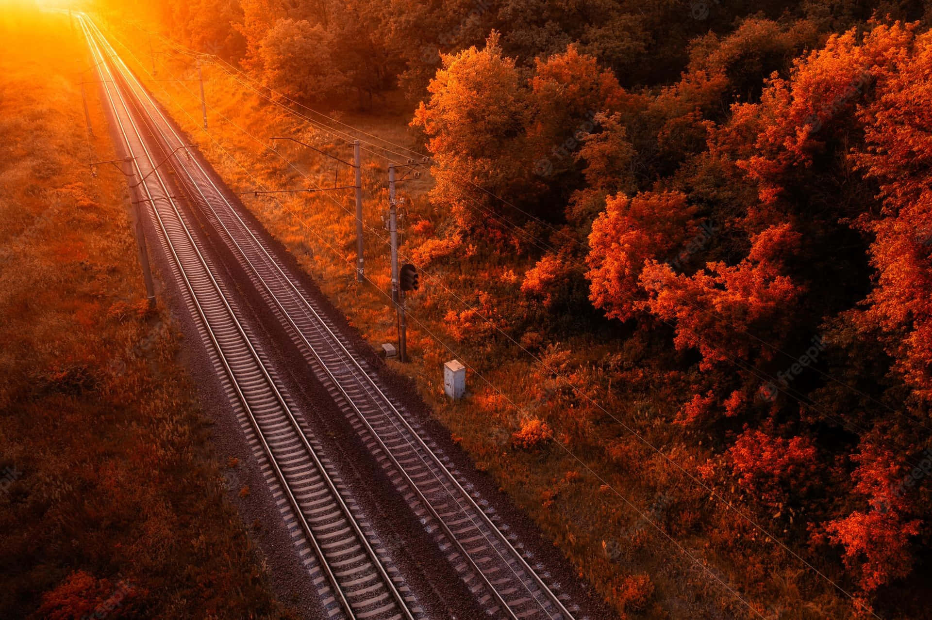 Fall Tumblr Train Rails In Forest Background