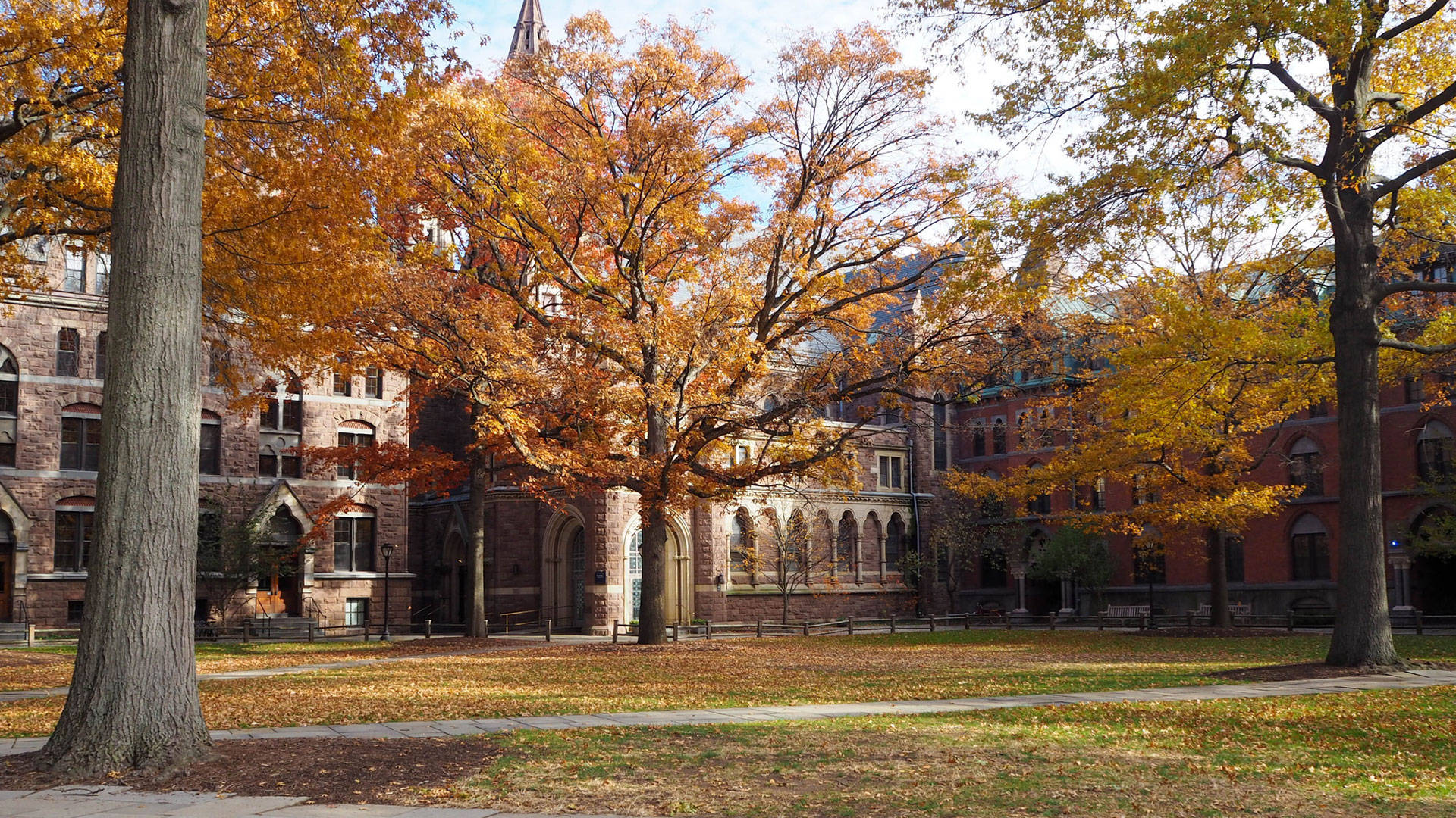 Fall Yale University Photo Background