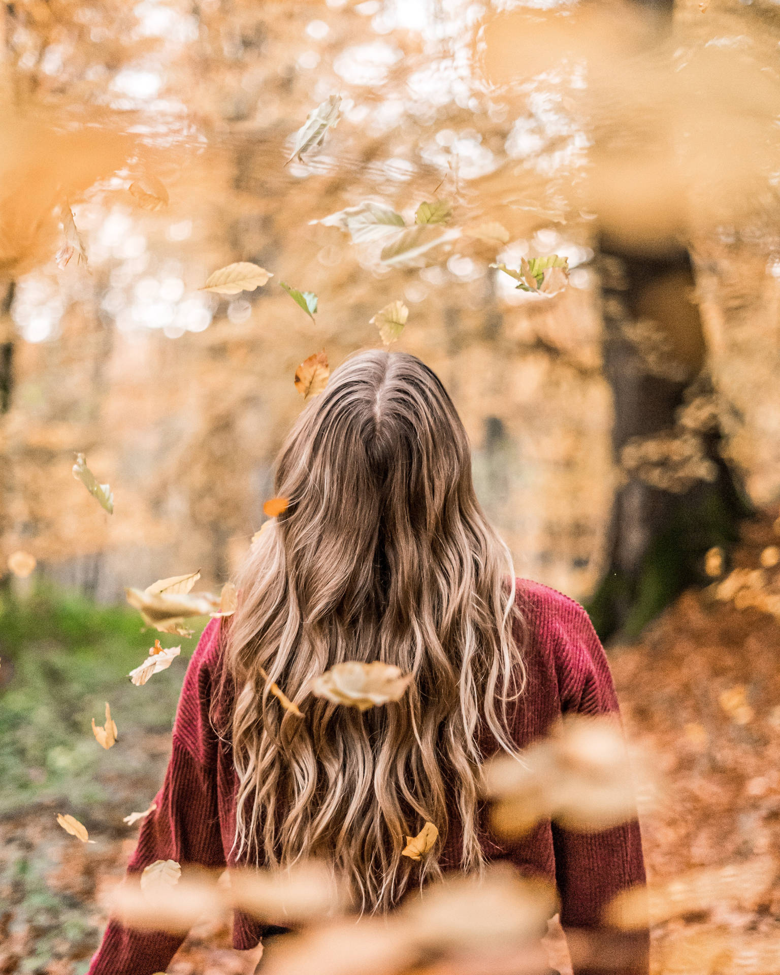 Falling Fall Leaves