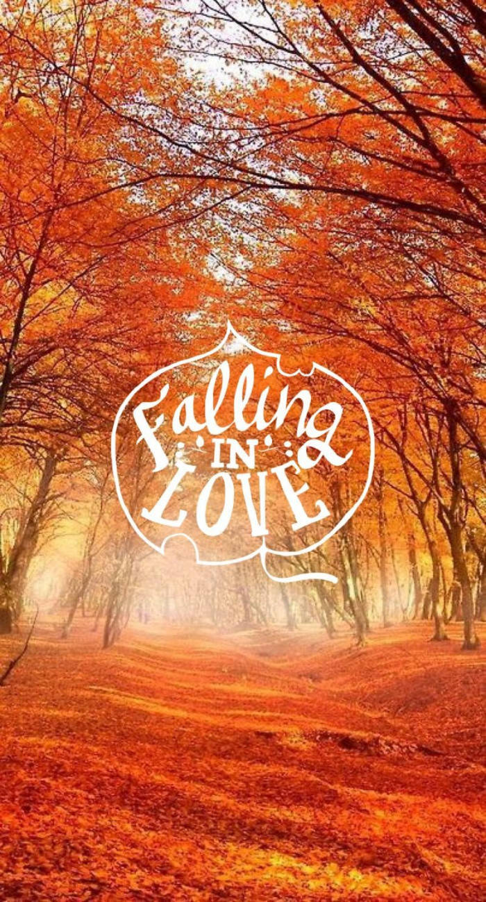 Falling In Love Fall Halloween Background