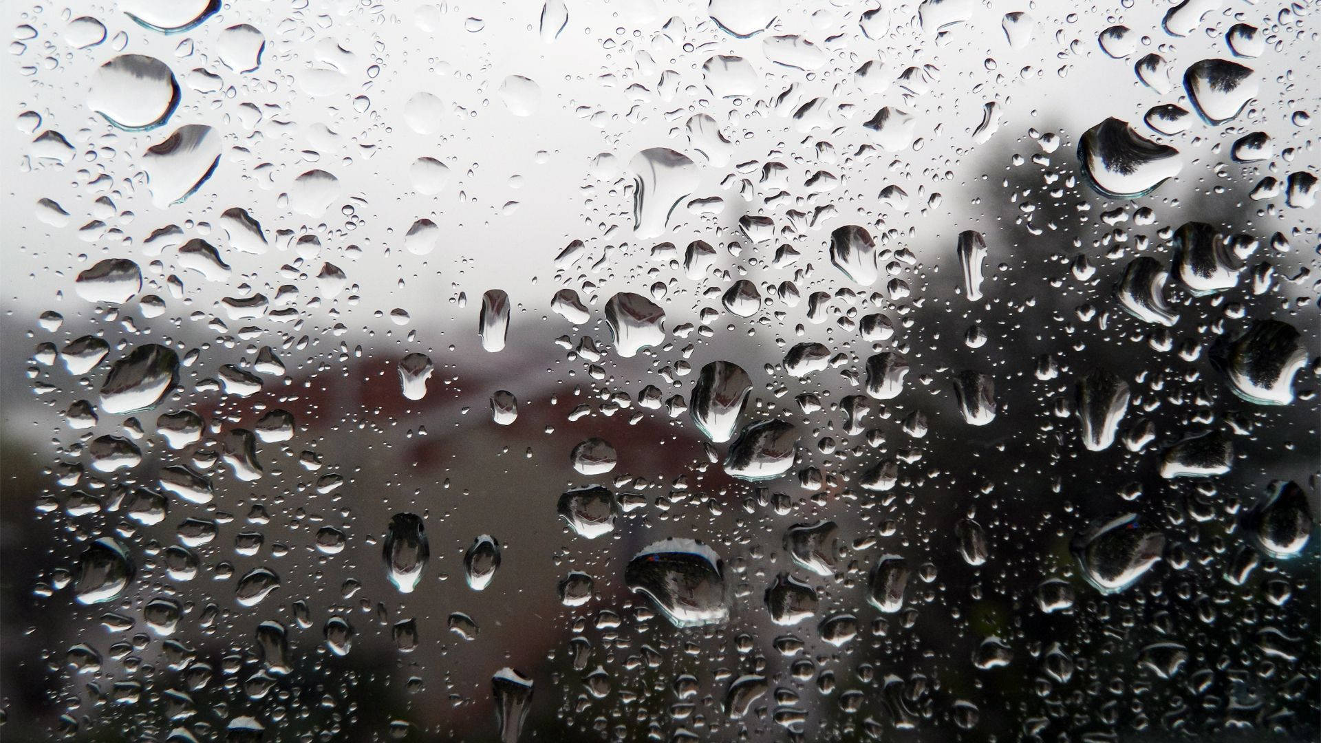 Falling Raindrops On Transparent Glass Pane