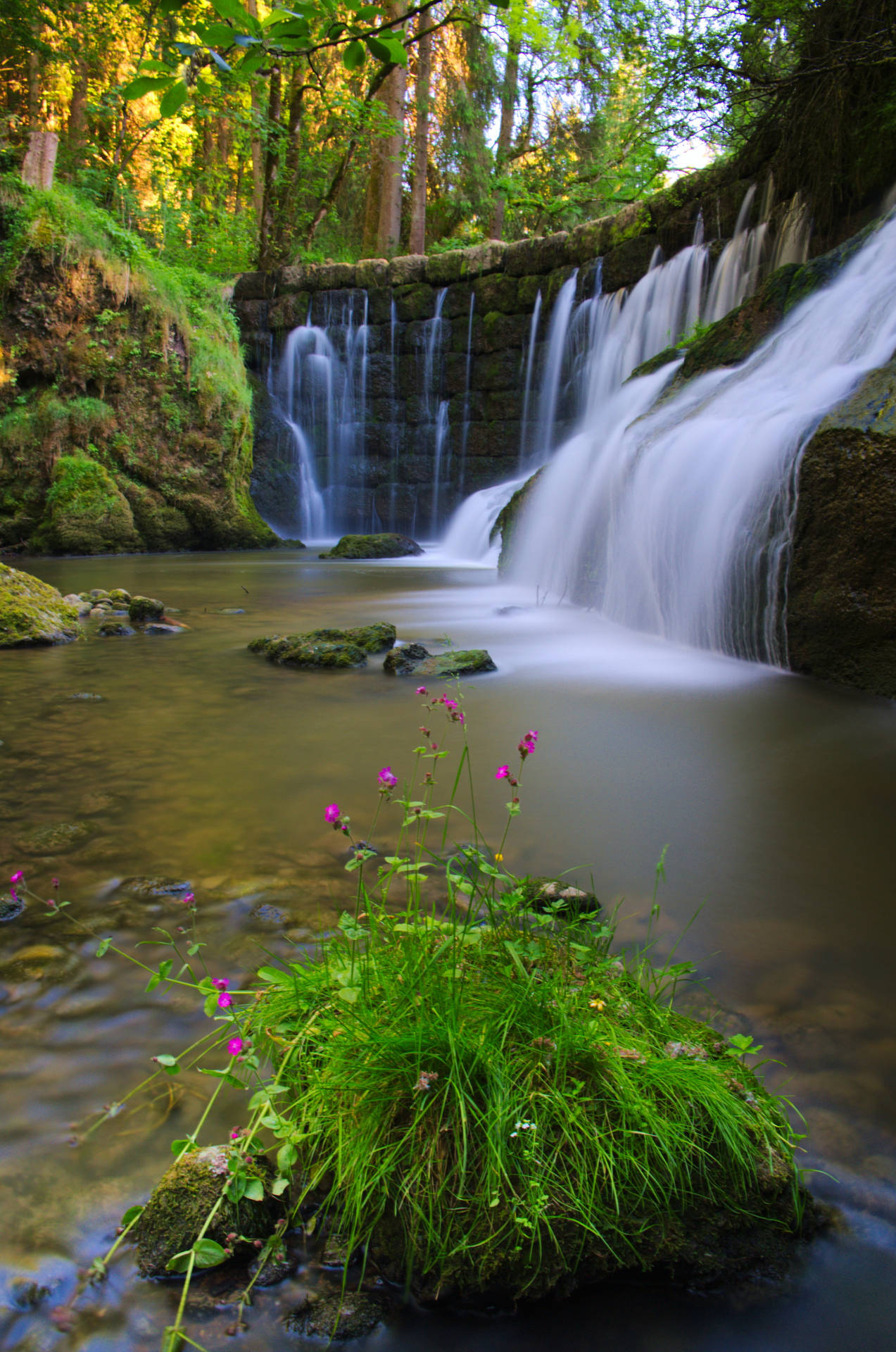 Falling Water Of Geratser Wasserfall