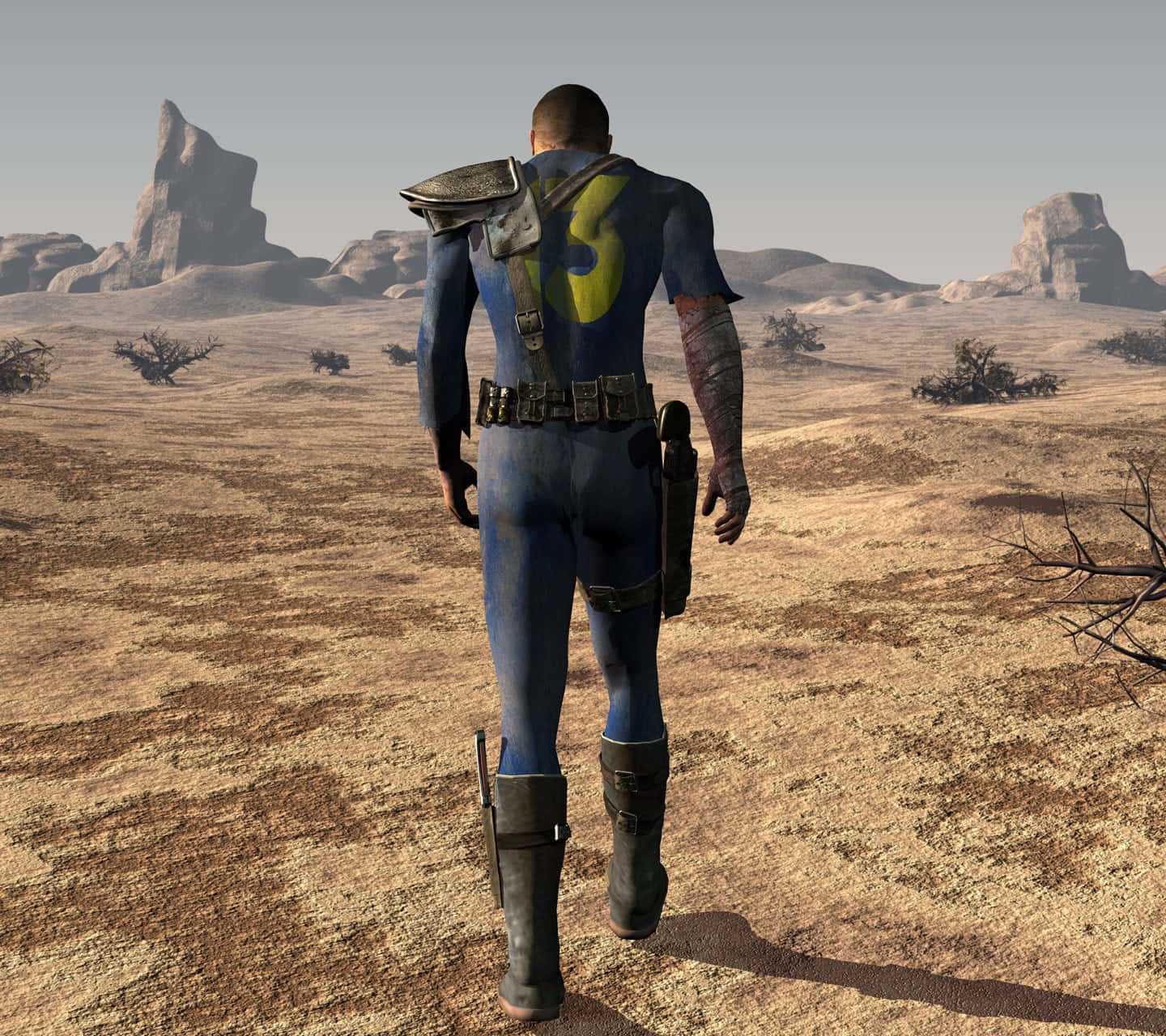 Fallout Vault Dweller Desert Walk Background