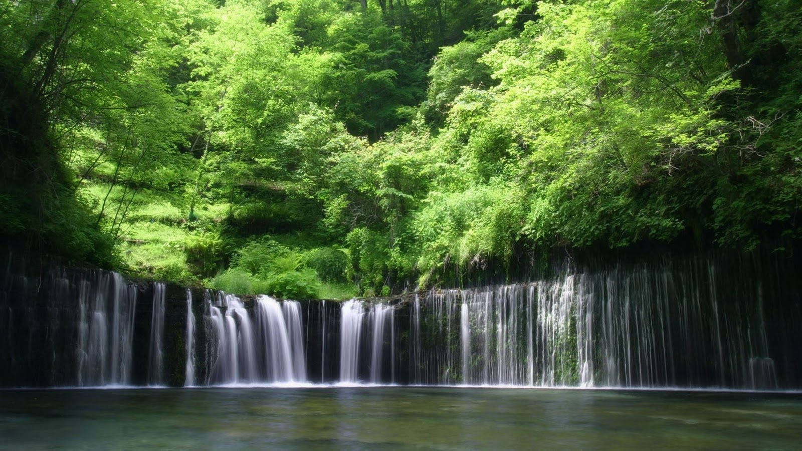 Falls And Green Trees Congo Background