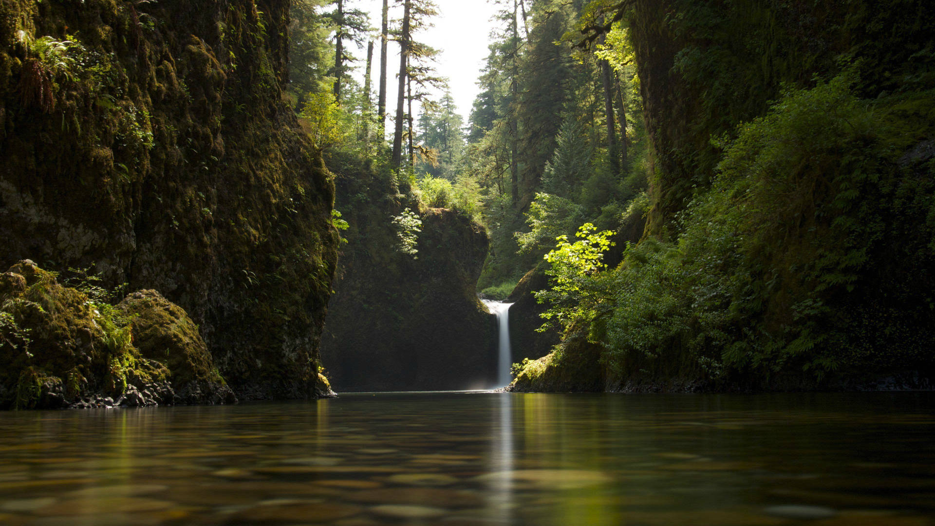 Falls Forest Background Background