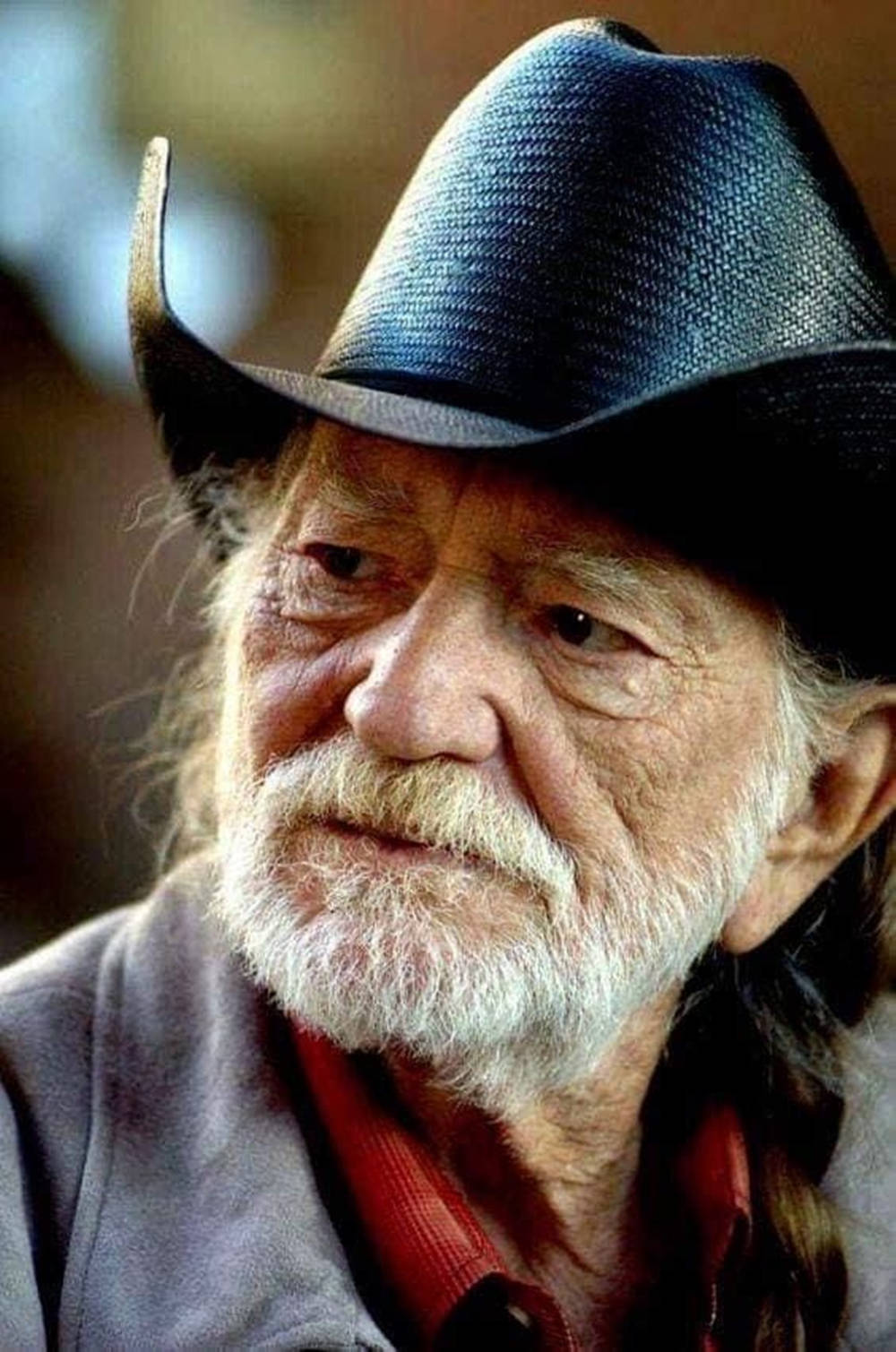 Famed Country Musician Willie Nelson