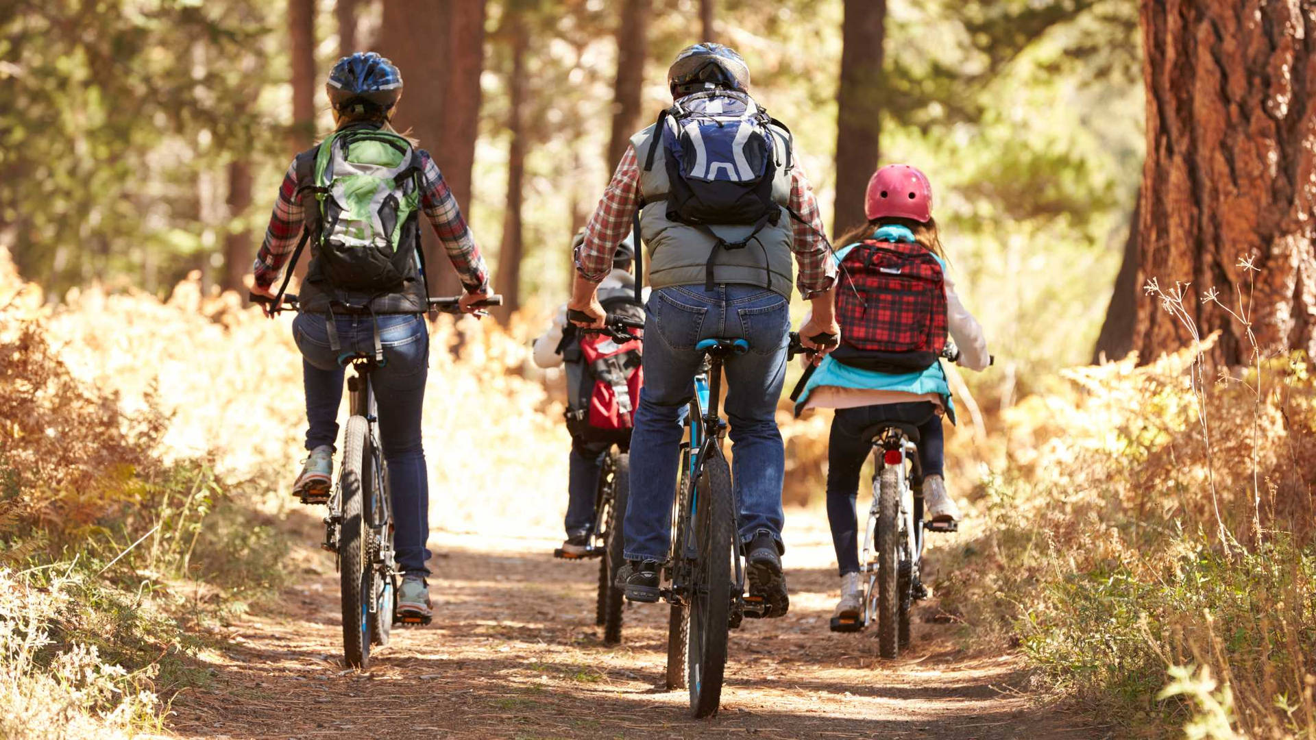 Family Bonding Activity Mountain Biking