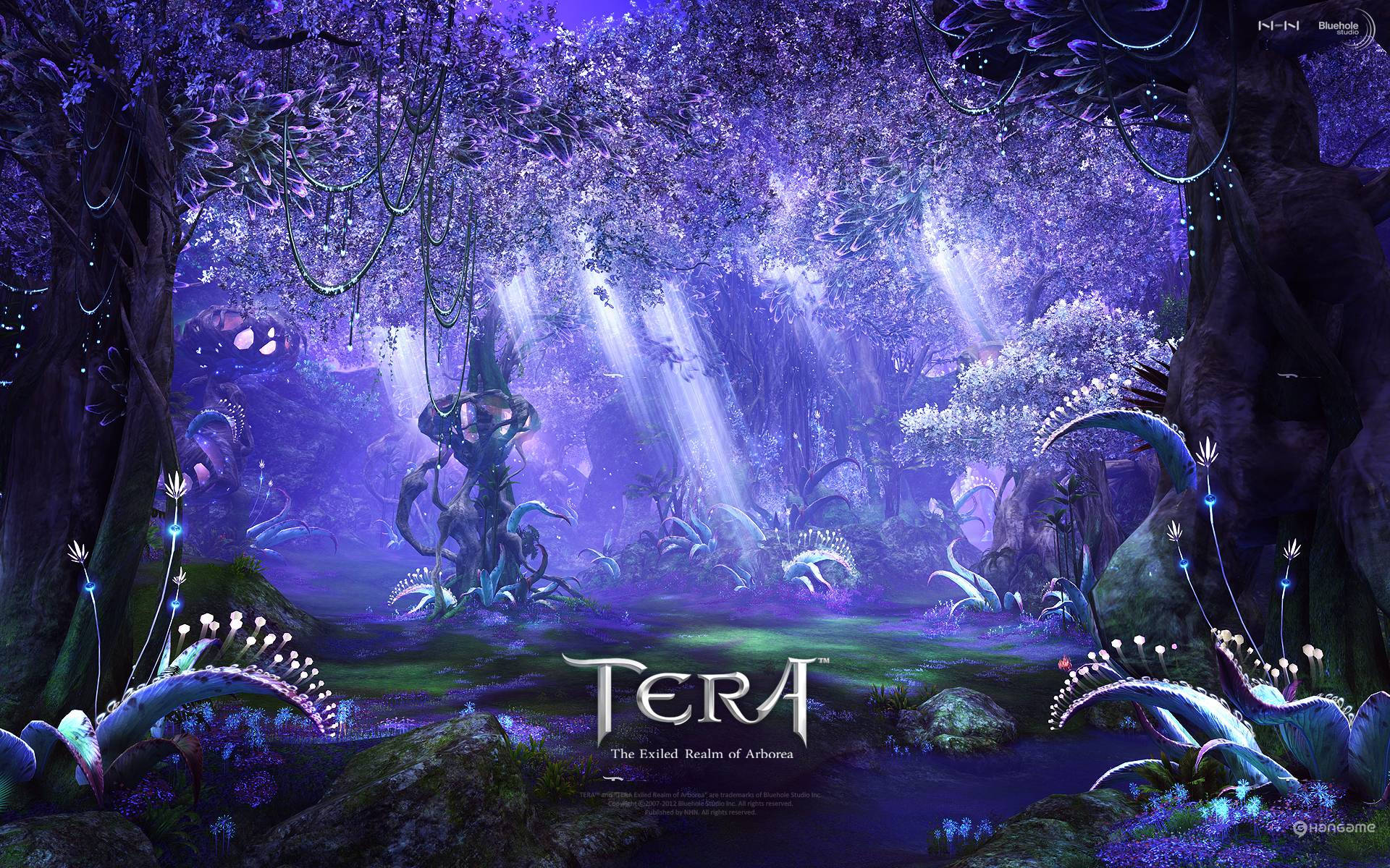 Famous Fantasy Adventure Game Tera Background