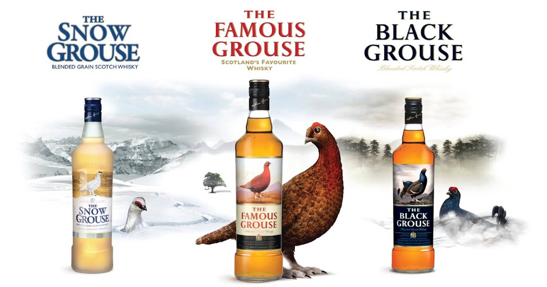 Famous Grouse Snow Grouse Black Grouse Background