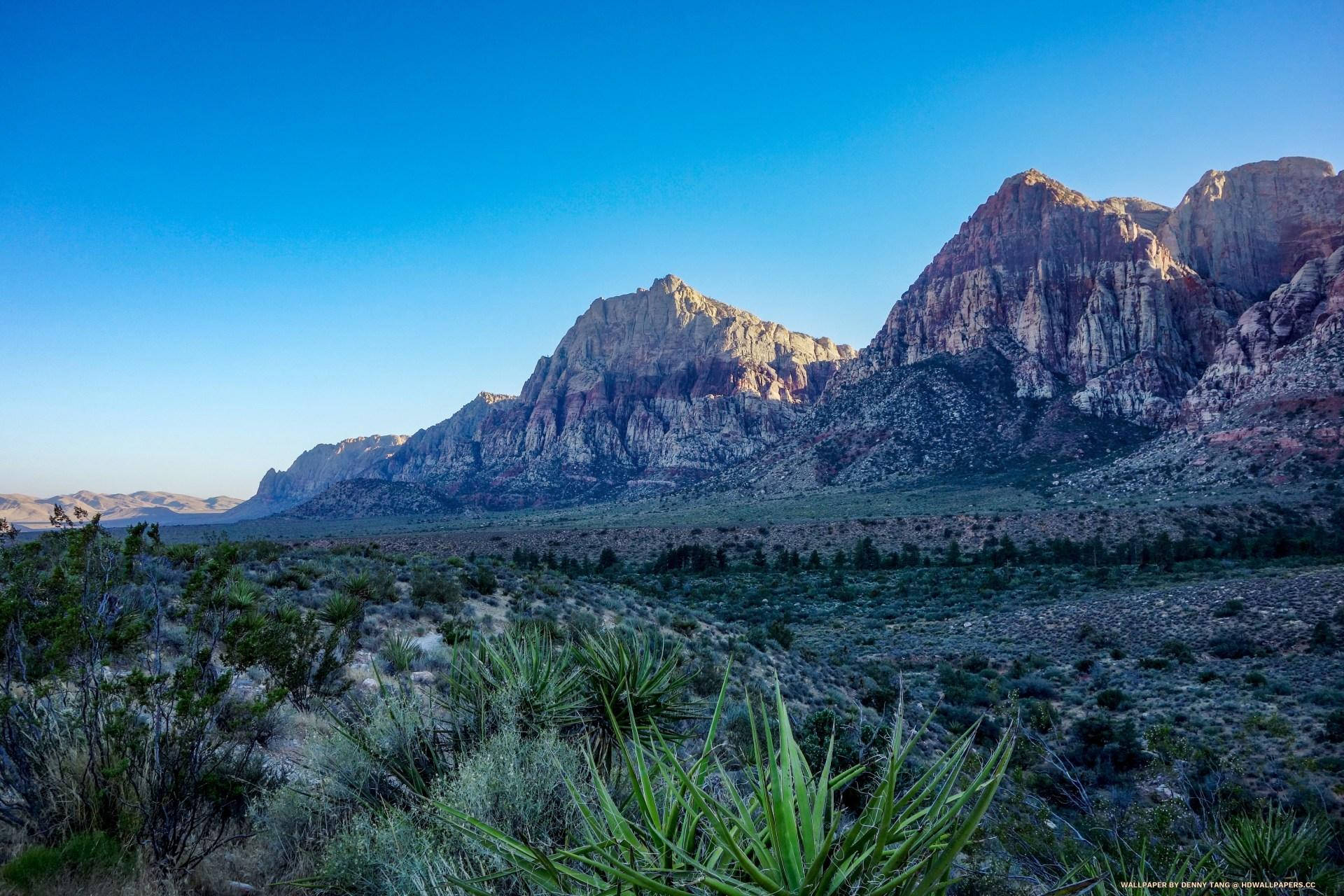 Famous Red Rock Landscape Vegas Background