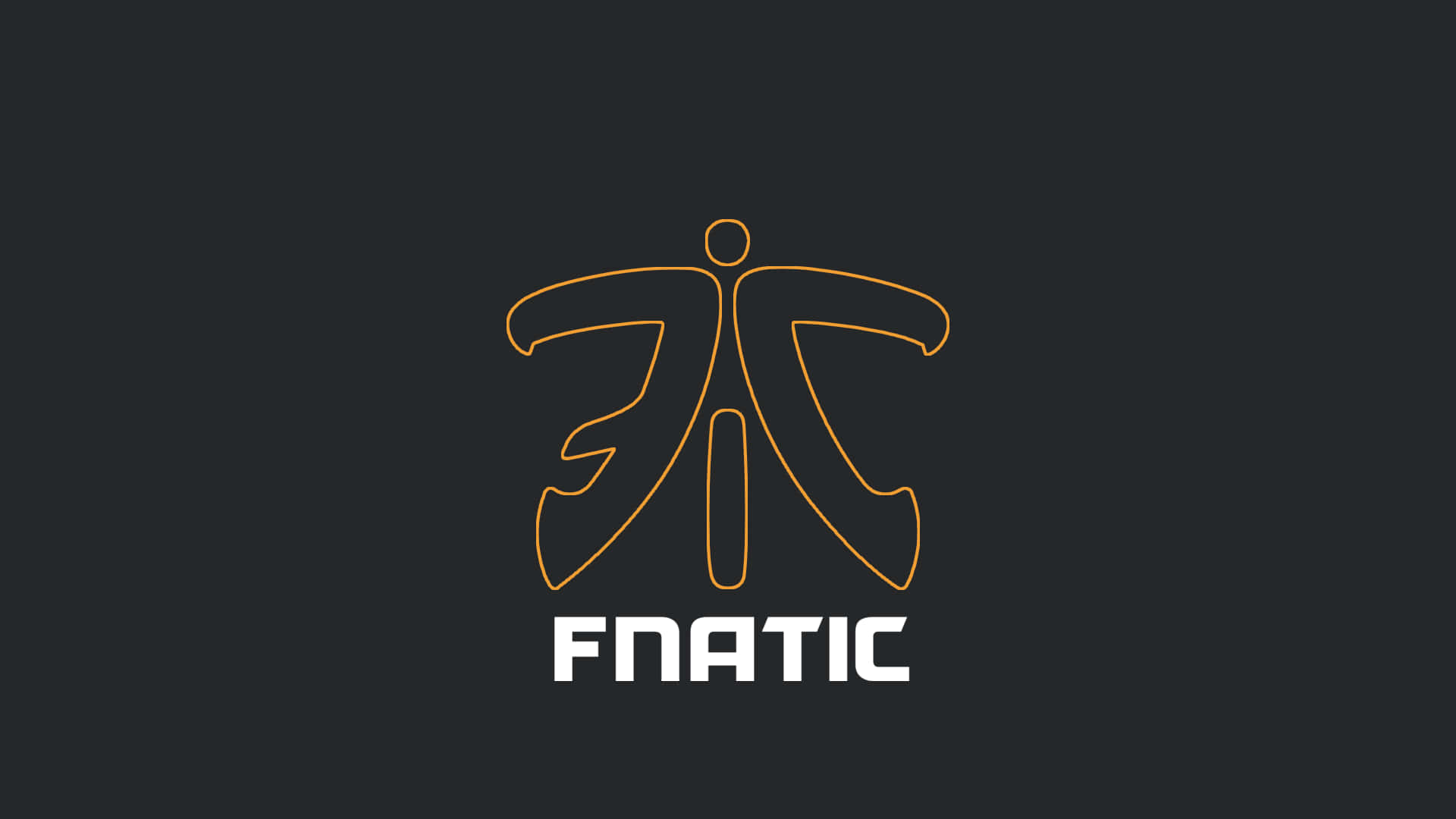 Fanatical Minimalist Logo Design Background