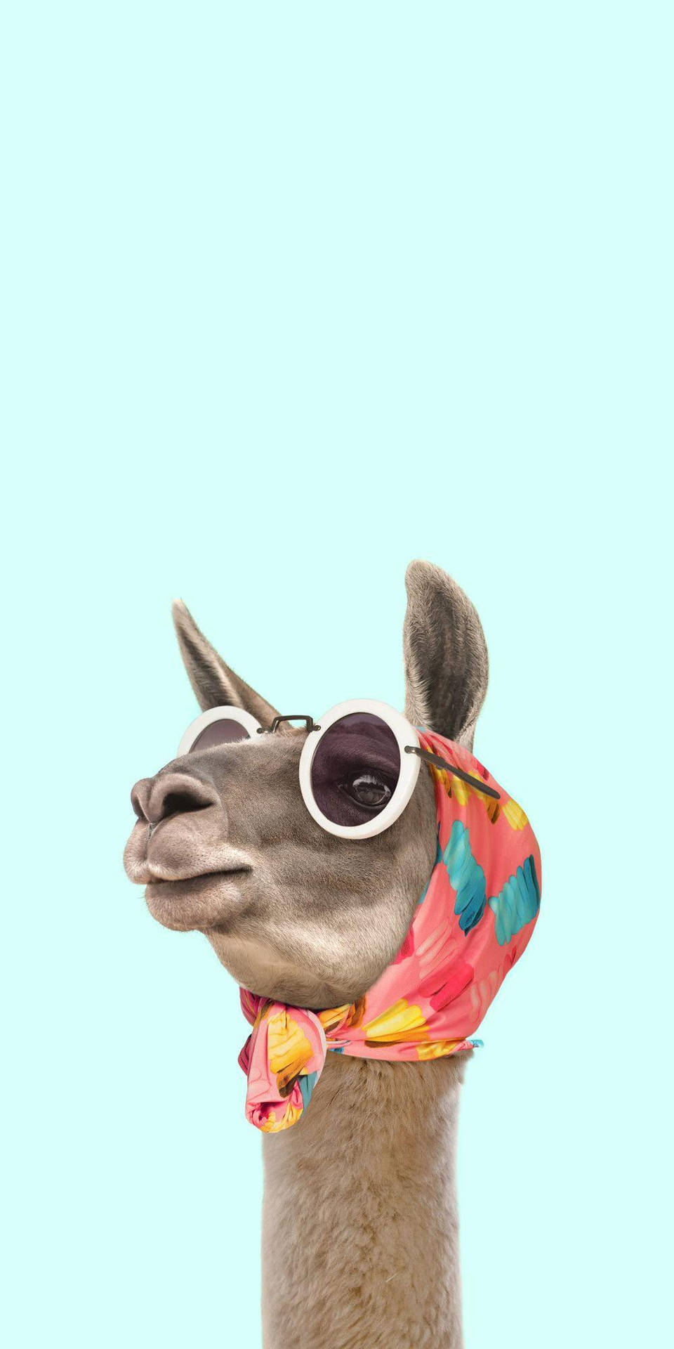 Fancy Luxurious Llama Background