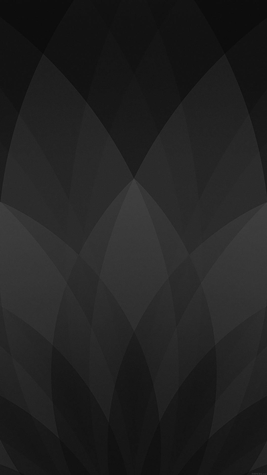 Fanned Leaf Solid Black Iphone Background