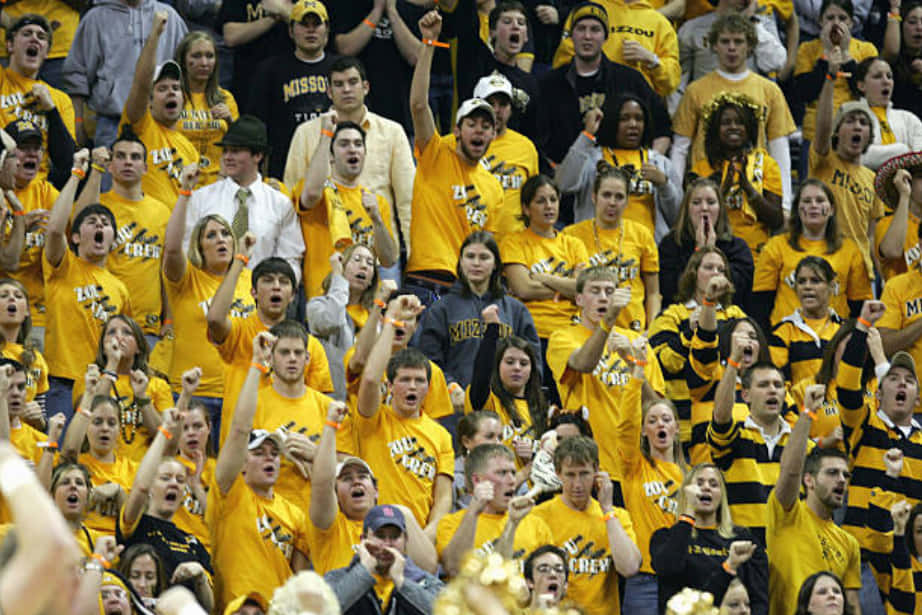 Fans Of The Missouri Tigers Cheer University Of Missouri