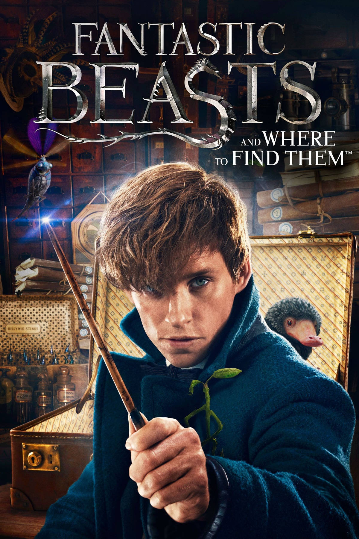 Fantastic Beasts And Where To Find Them Fantasy Movie Poster Background