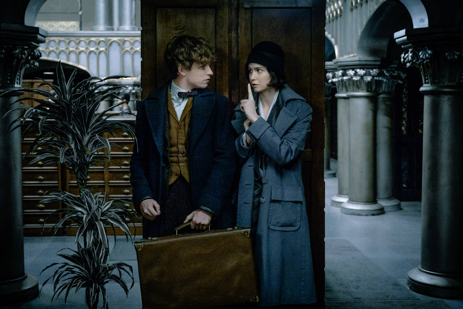 Fantastic Beasts And Where To Find Them Newt And Porpentina Sneaking